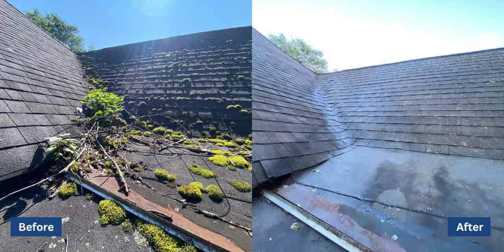 Roof Soft Washing image