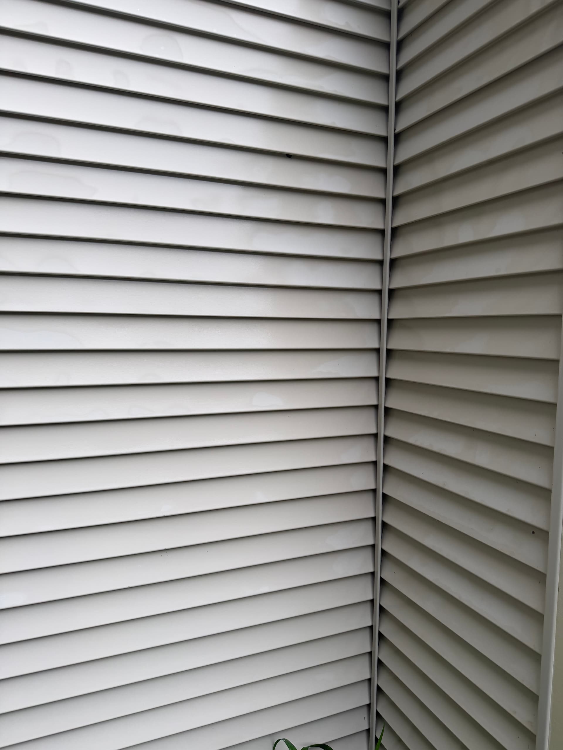 Gallery photos for Condo Siding Soft Wash Clears Green Buildup in Colchester: Image #1