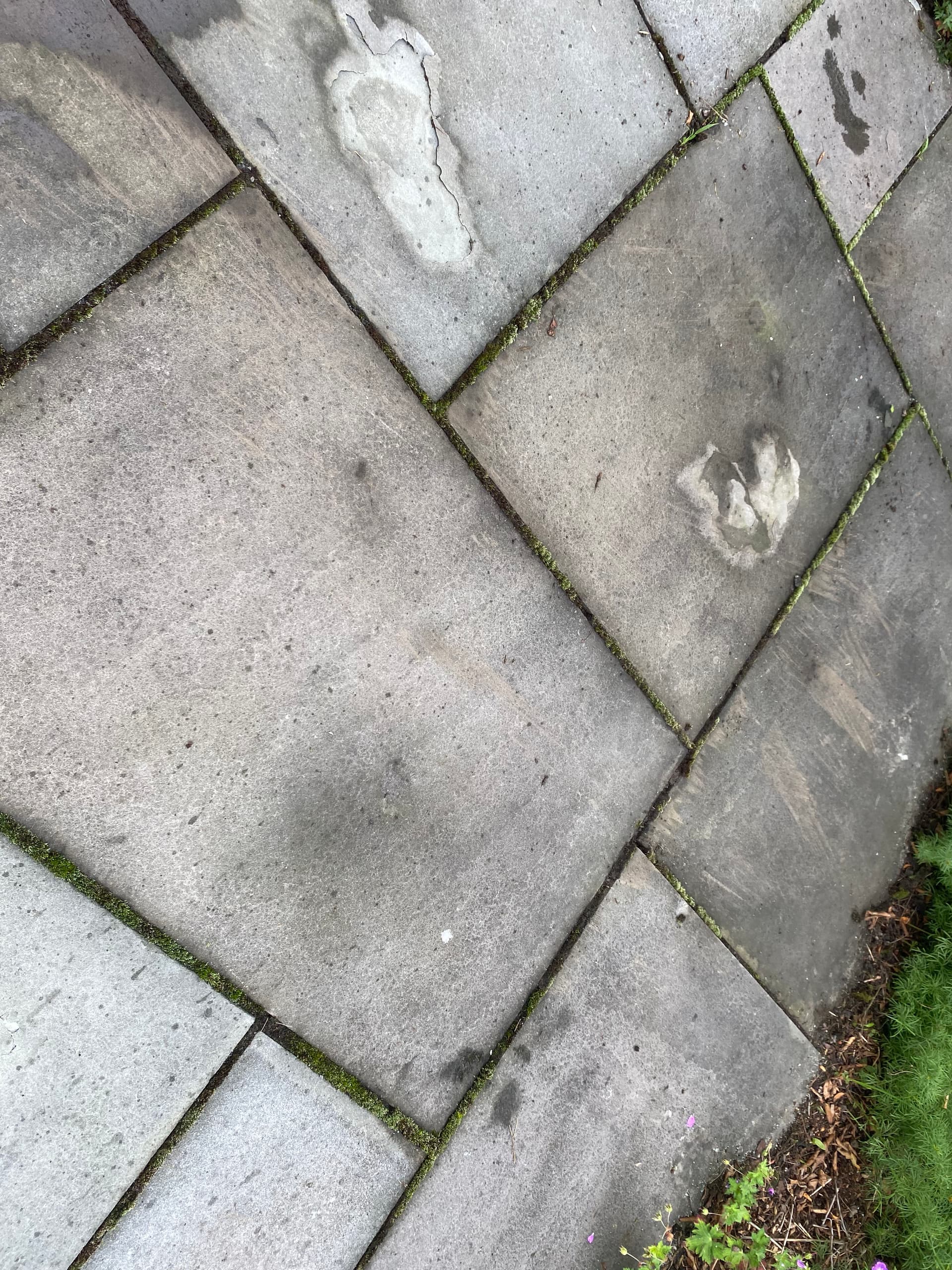 Gallery photos for Stone Surfaces Renewed with Expert Pressure Washing: Image #8