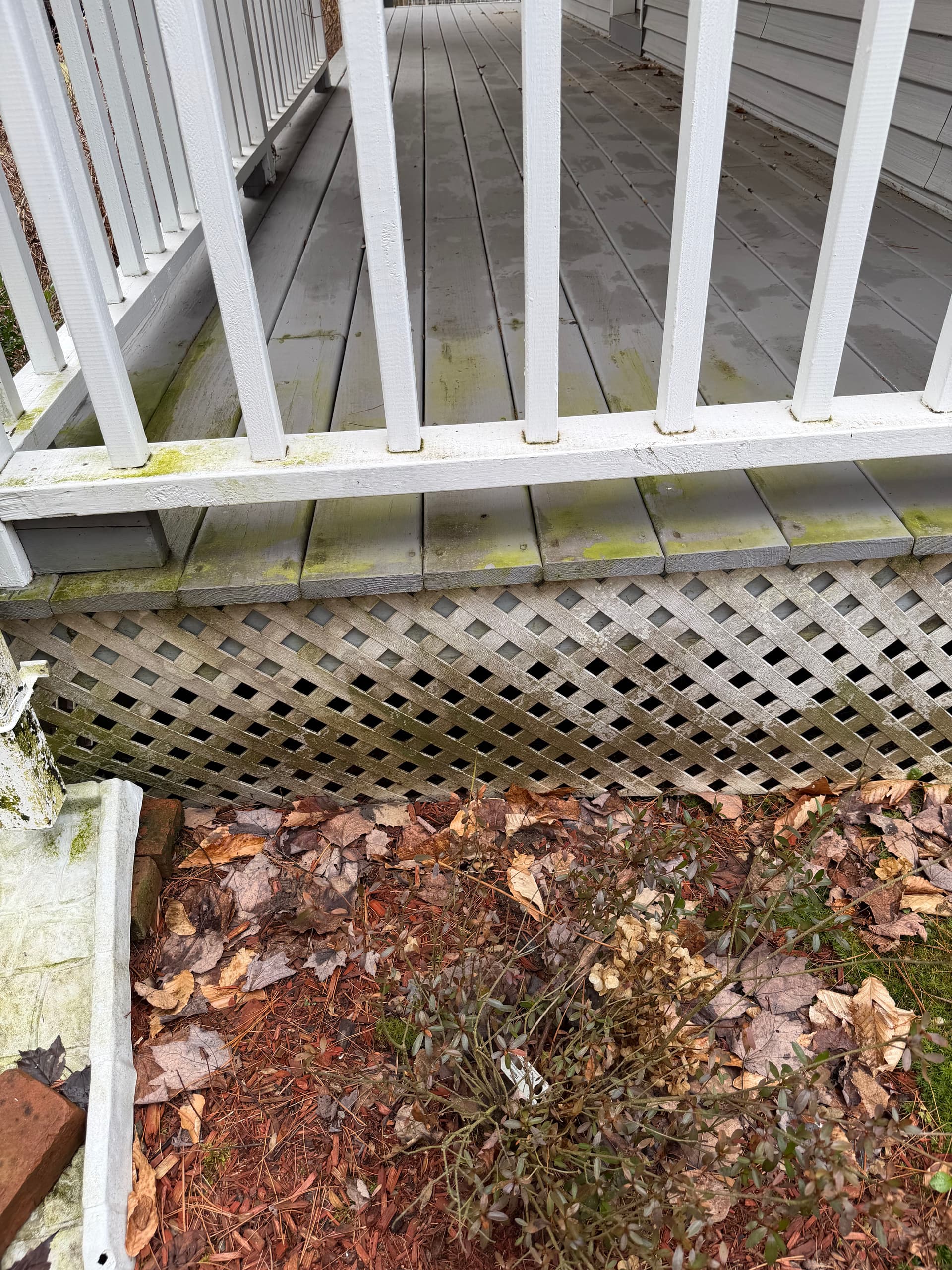 Gallery photos for Trex Deck Cleaning and House Washing in East Montpelier Vermont: Image #6