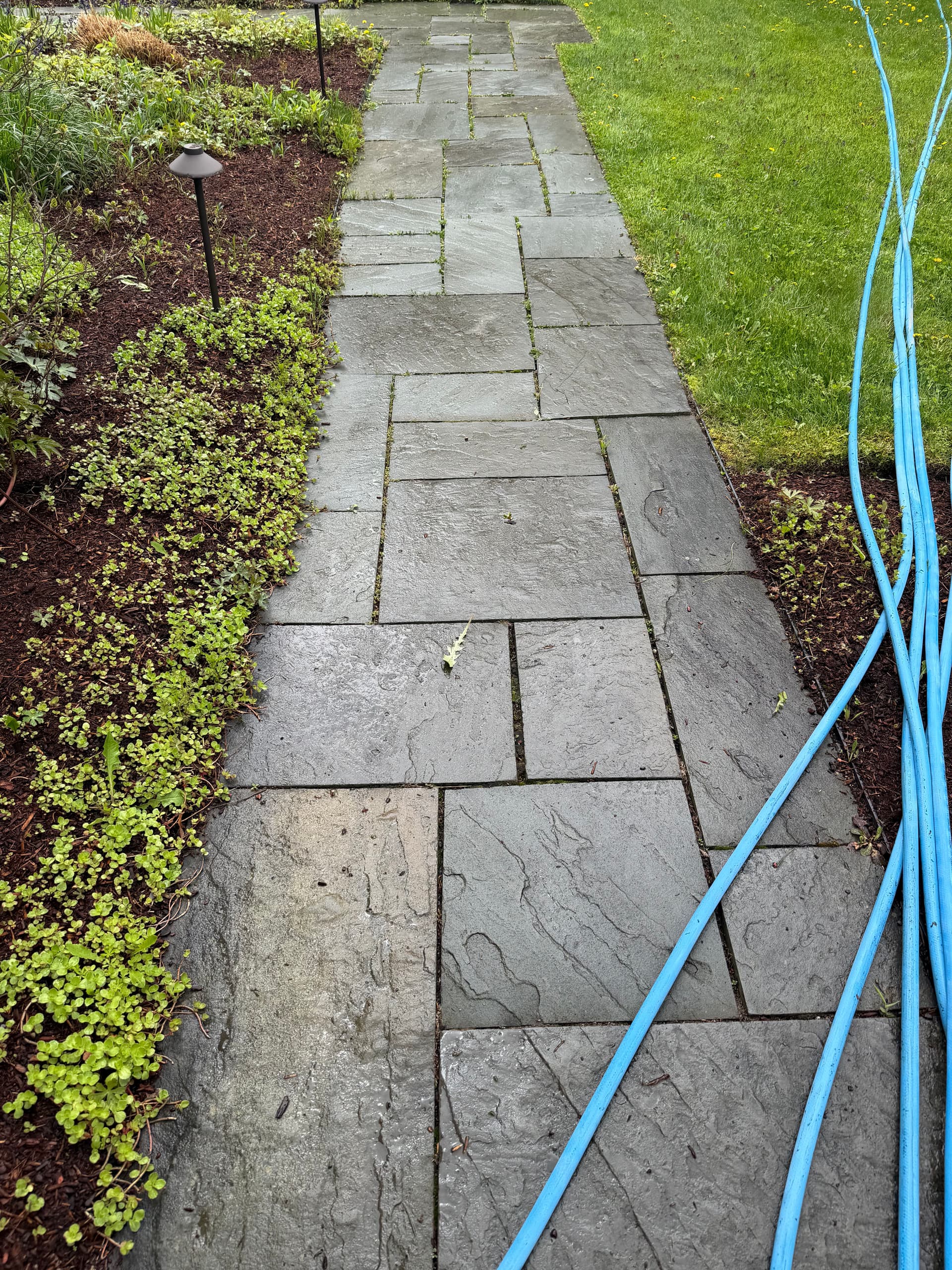 Gallery photos for Colchester Bluestone Patio and Walkway Pressure Washing: Image #4