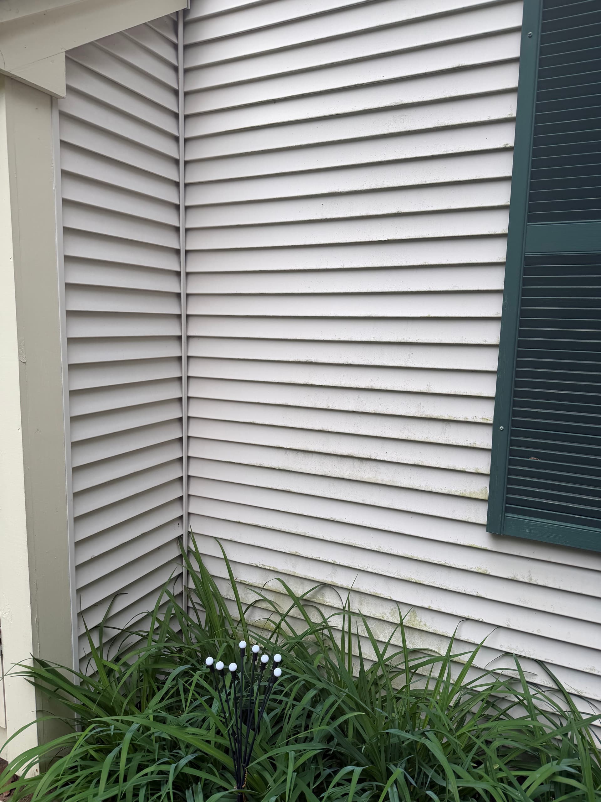 Gallery photos for Condo Siding Soft Wash Clears Green Buildup in Colchester: Image #4