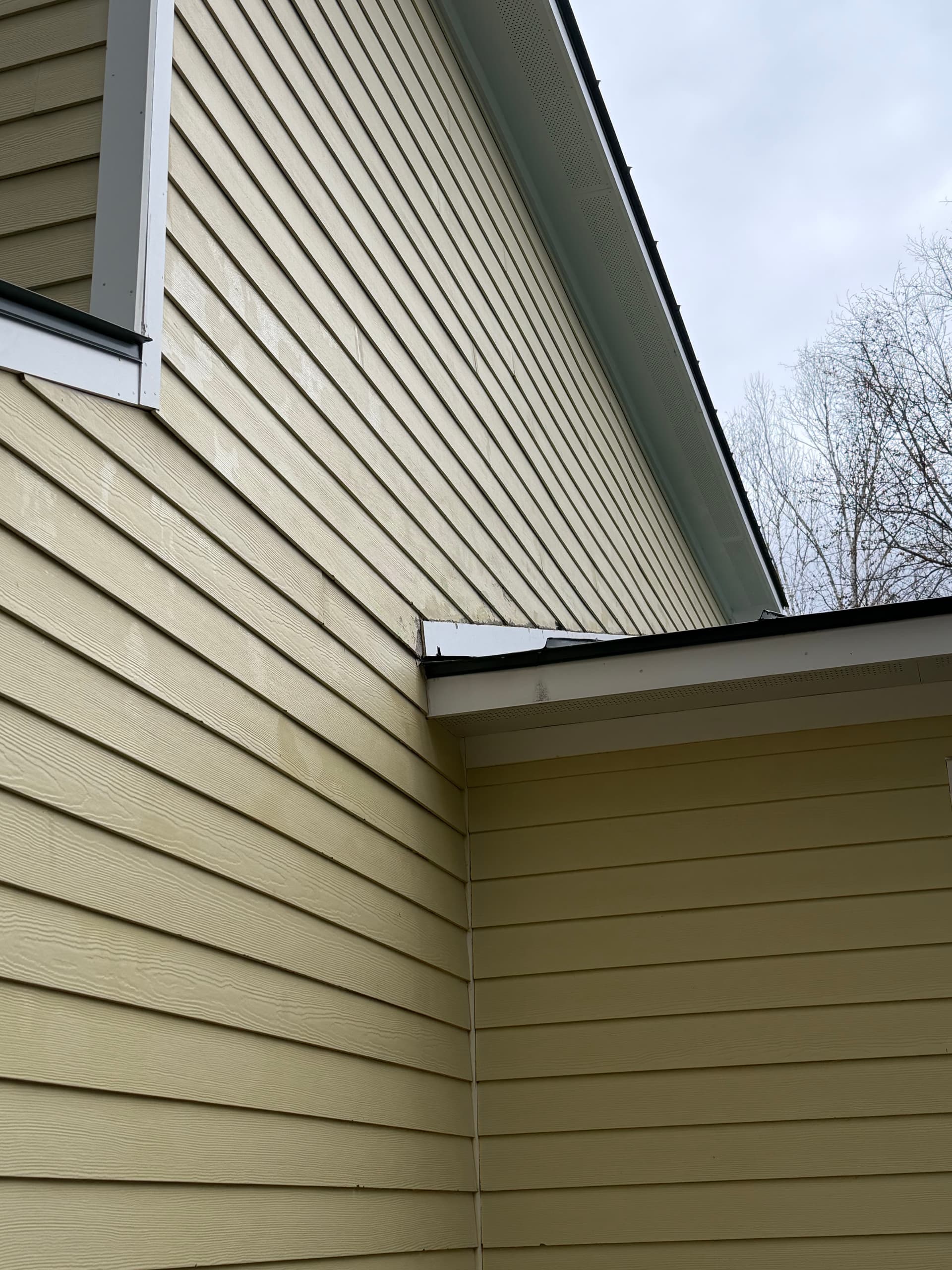 Gallery photos for Heavy Organic Growth Removed From Montpelier VT Home: Image #5