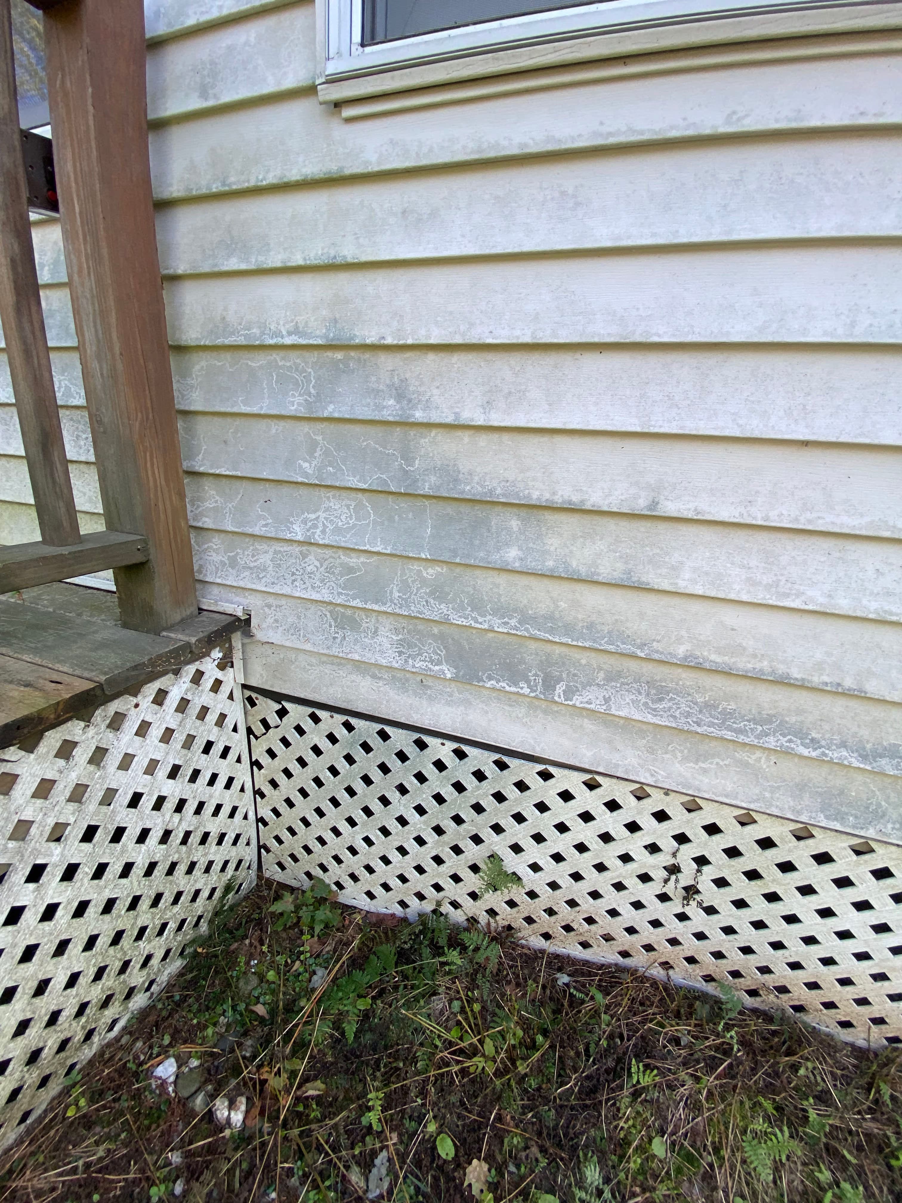 Exterior wall with mold and grime, showing wooden steps and lattice skirting.