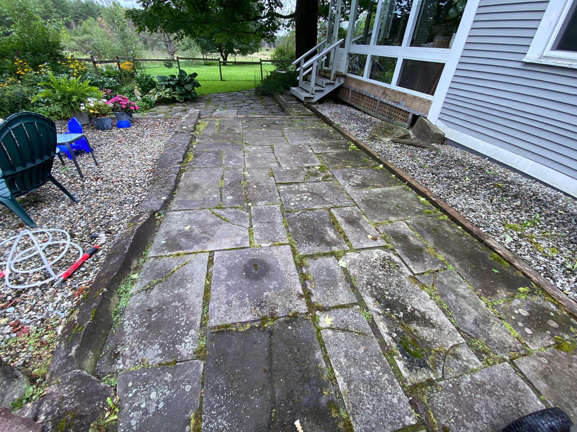 Stone patio path with moss, surrounded by flowers and greenery, leading to a house.