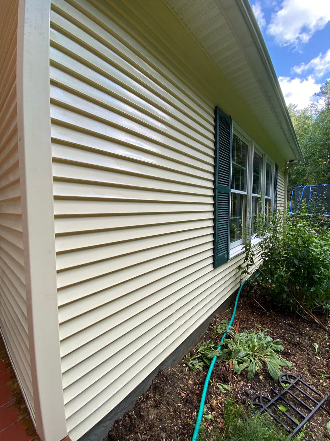 Side view of a house with yellow vinyl siding, green shutters, and garden plants.