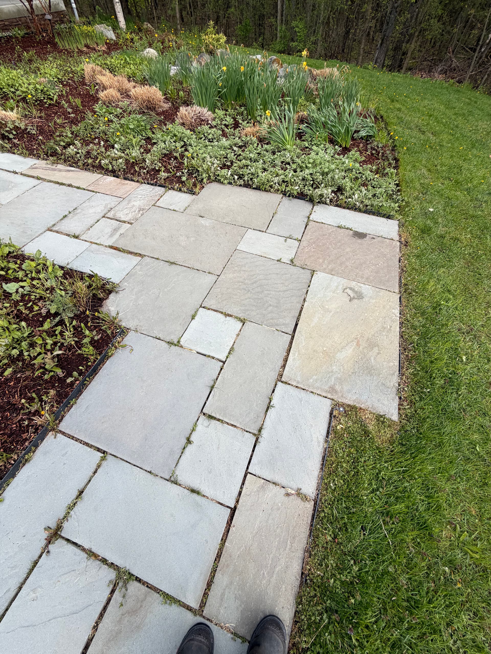 Gallery photos for Colchester Bluestone Patio and Walkway Pressure Washing: Image #3