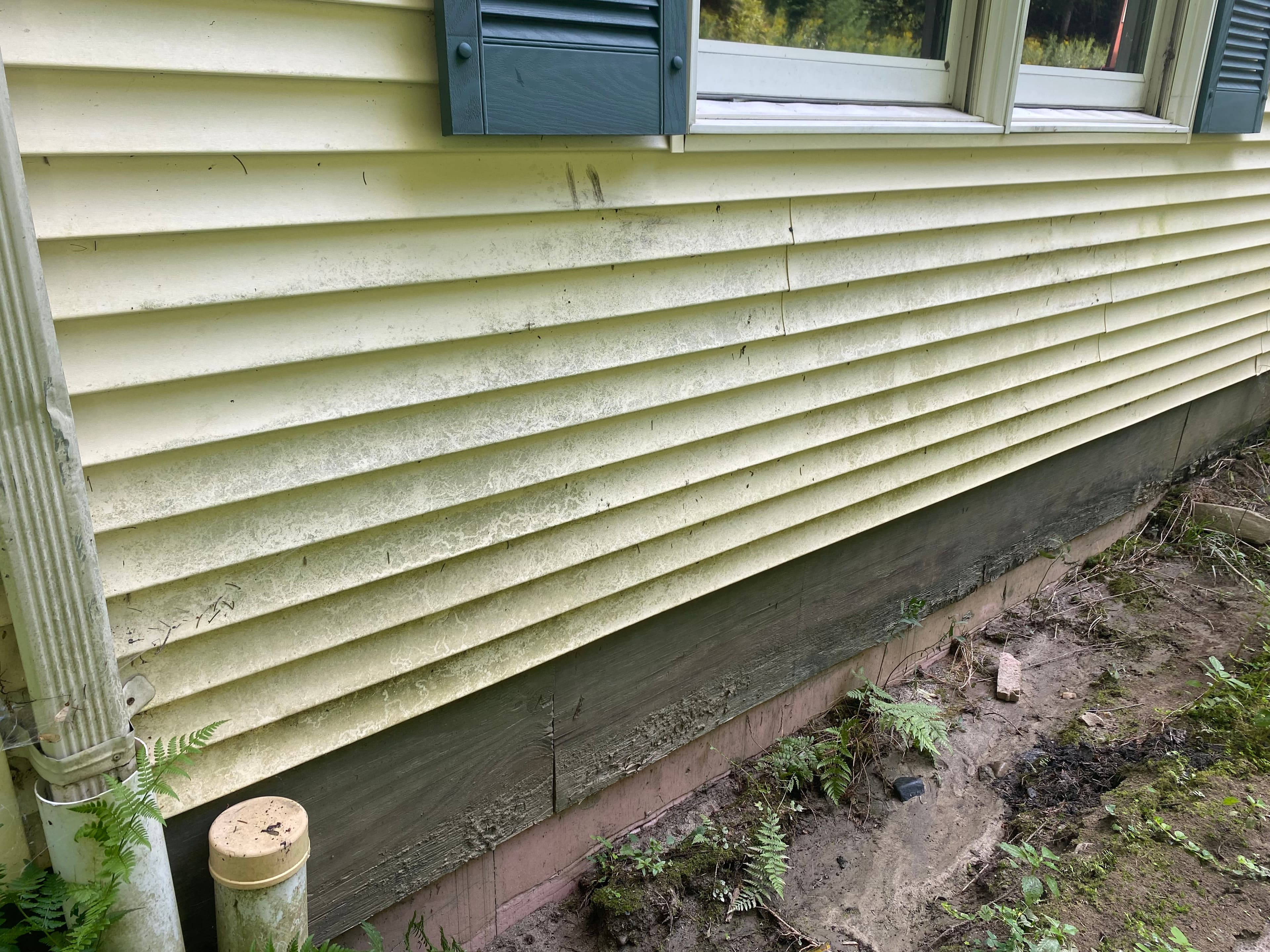 Project Home Shine with Expert Soft and Pressure Washing image