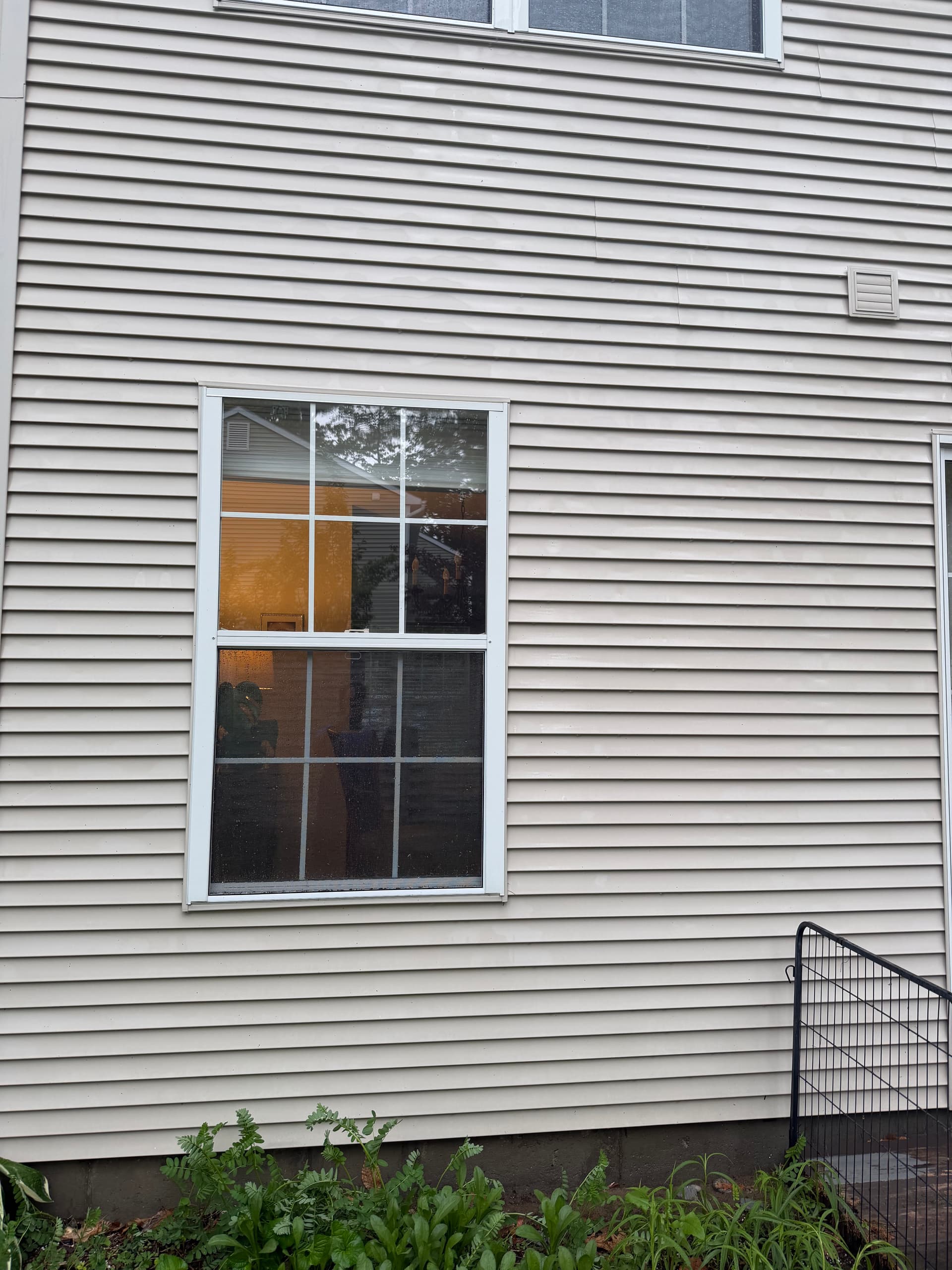 Gallery photos for Condo Siding Soft Wash Clears Green Buildup in Colchester: Image #3
