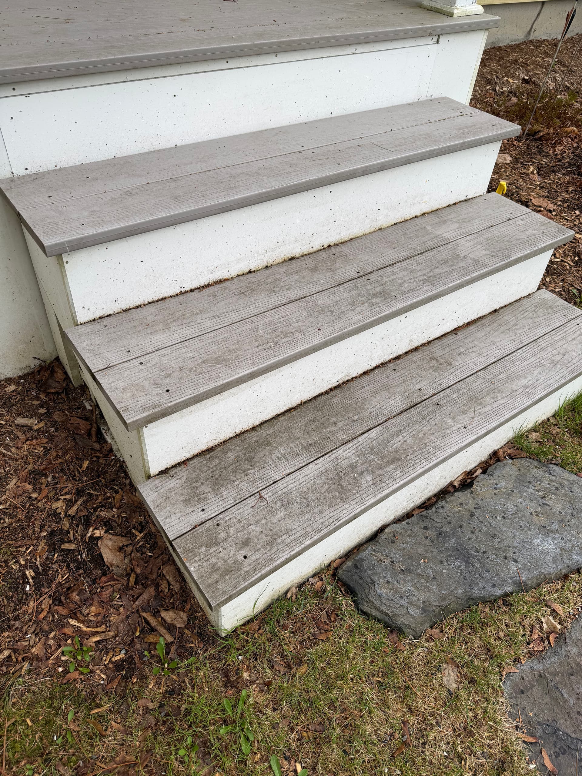Gallery photos for Heavy Organic Growth Removed From Montpelier VT Home: Image #6
