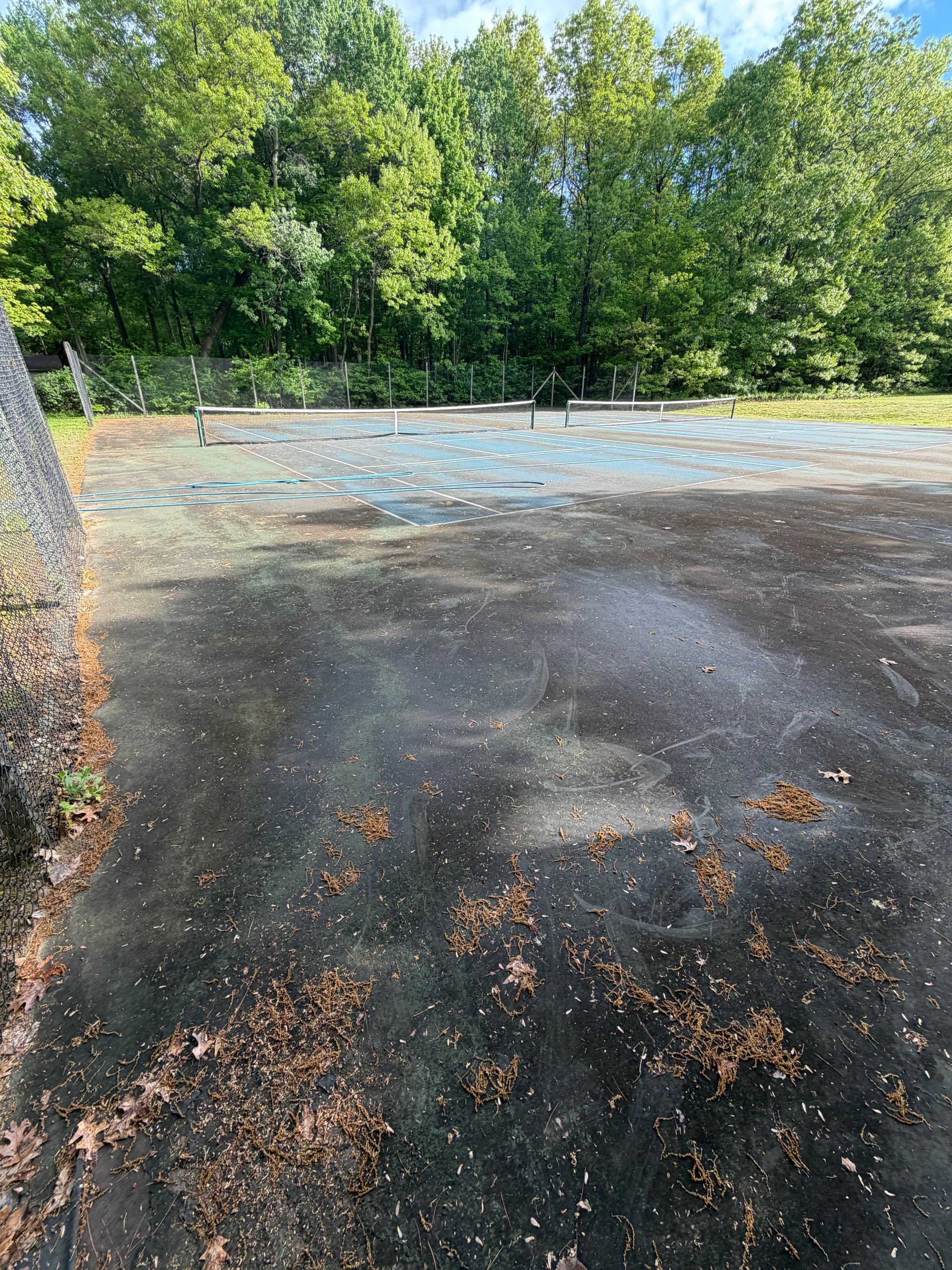 Tennis Court Pressure Washing in Colchester Vermont image