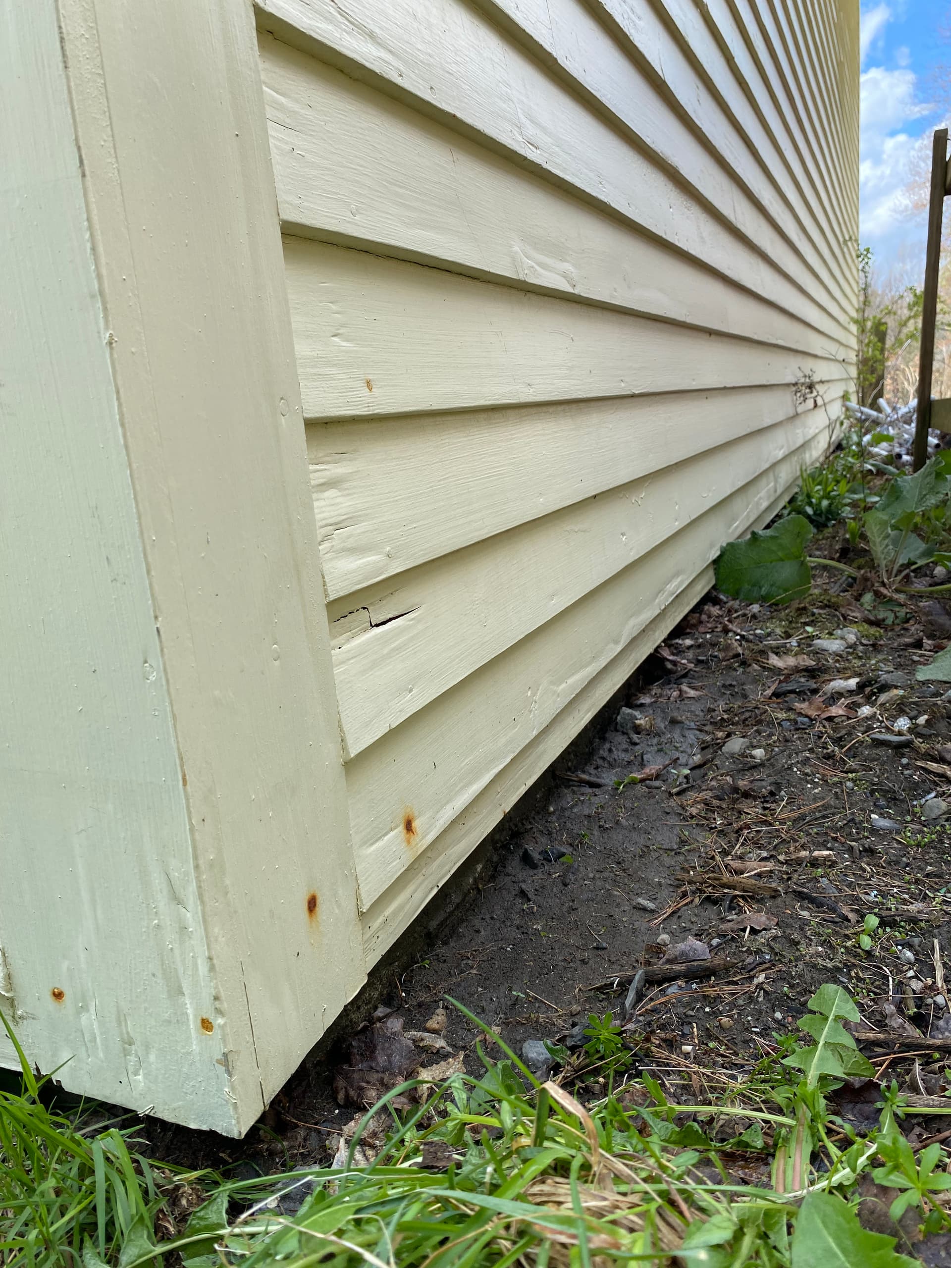 Gallery photos for Siding Soft Wash Clears Heavy Green Buildup in Middlesex VT: Image #1