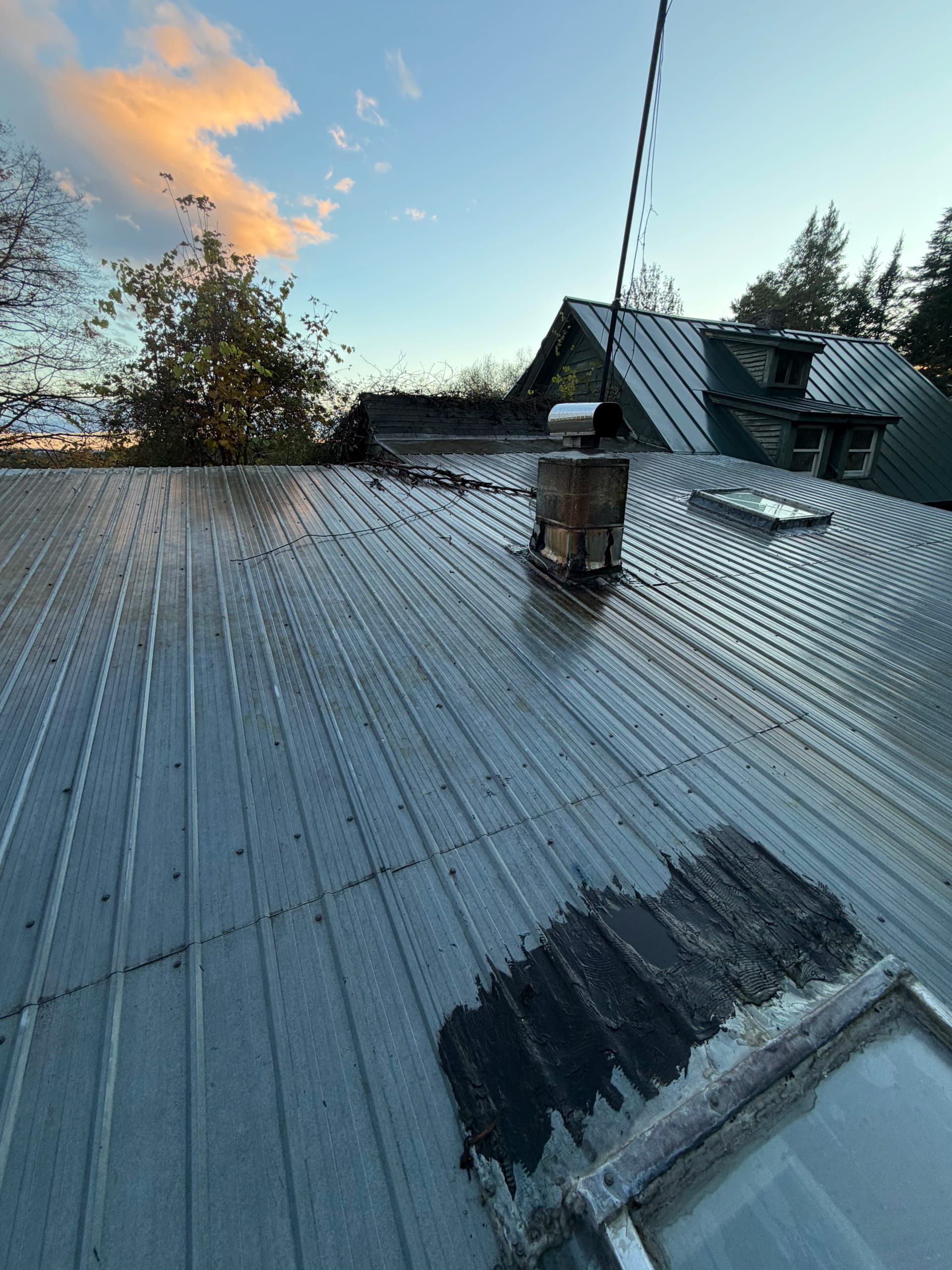 Gallery photos for Leaves and Vines Cleared Off a Metal Roof in Calais: Image #1