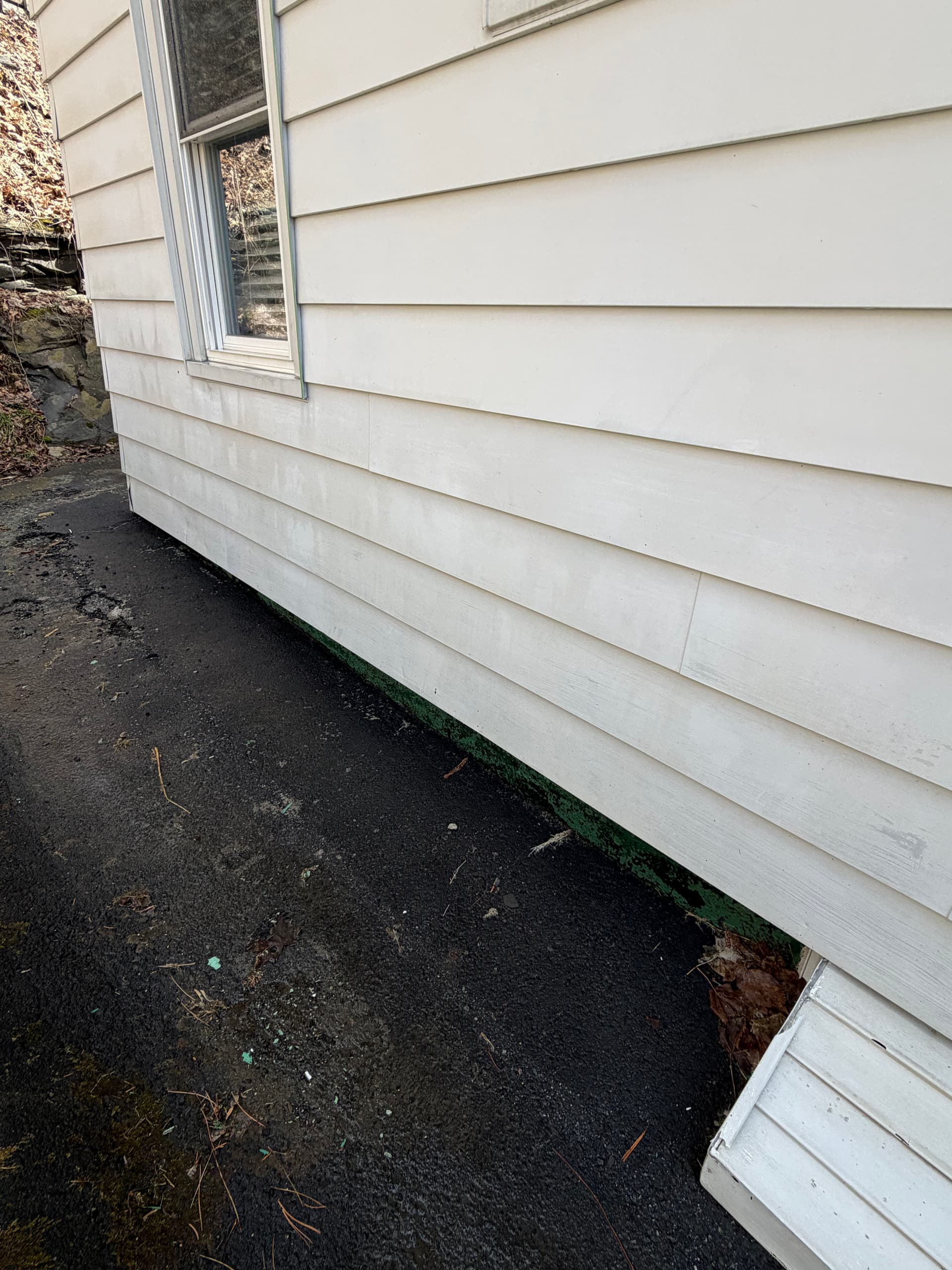 Gallery photos for Full Exterior Care - Siding Washed, Gutters Cleared, Siding Repaired: Image #3
