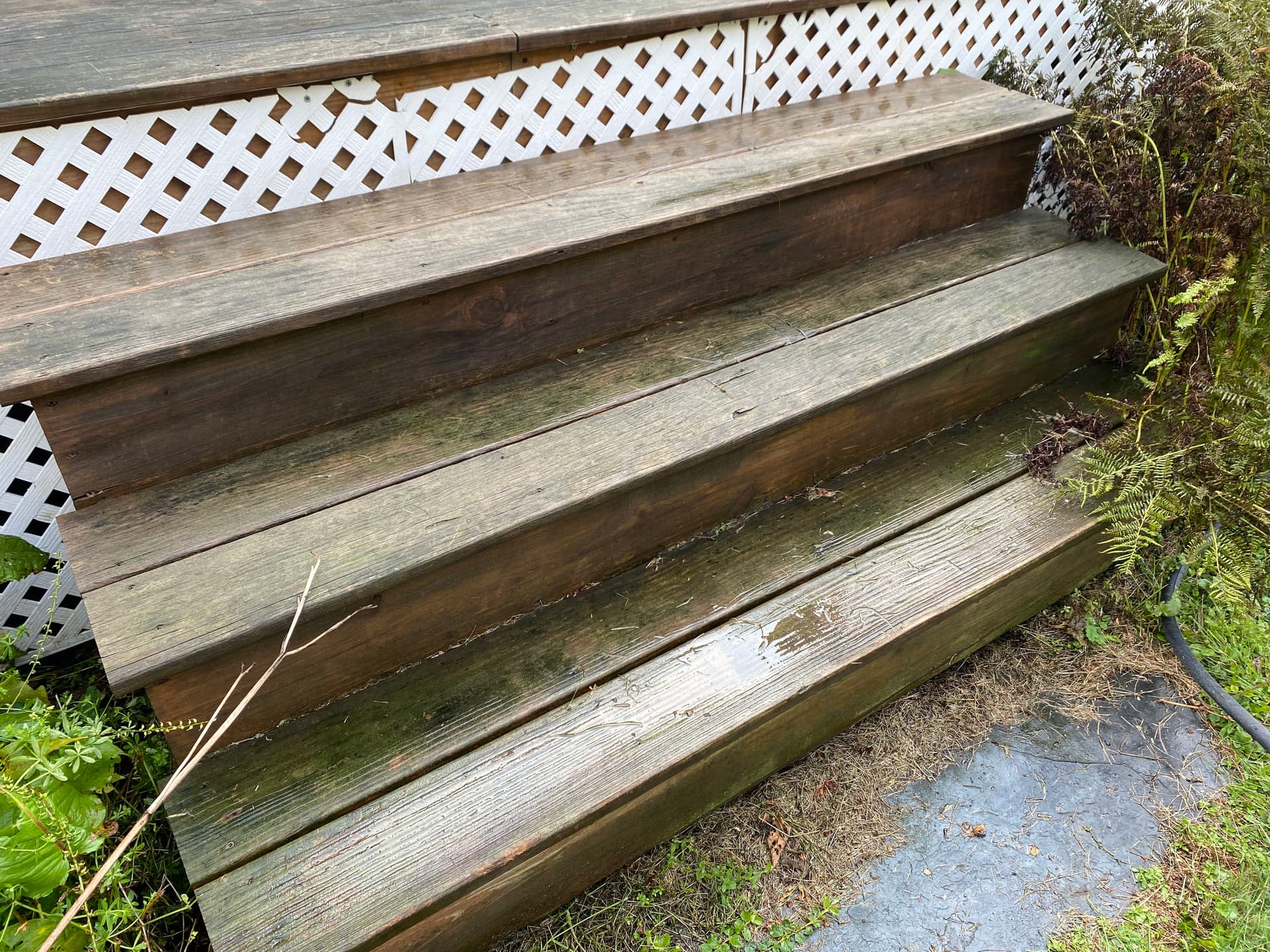 Gallery photos for Shelburne Deck Renewal: From Drab to Fab with Our Expert Touch: Image #3