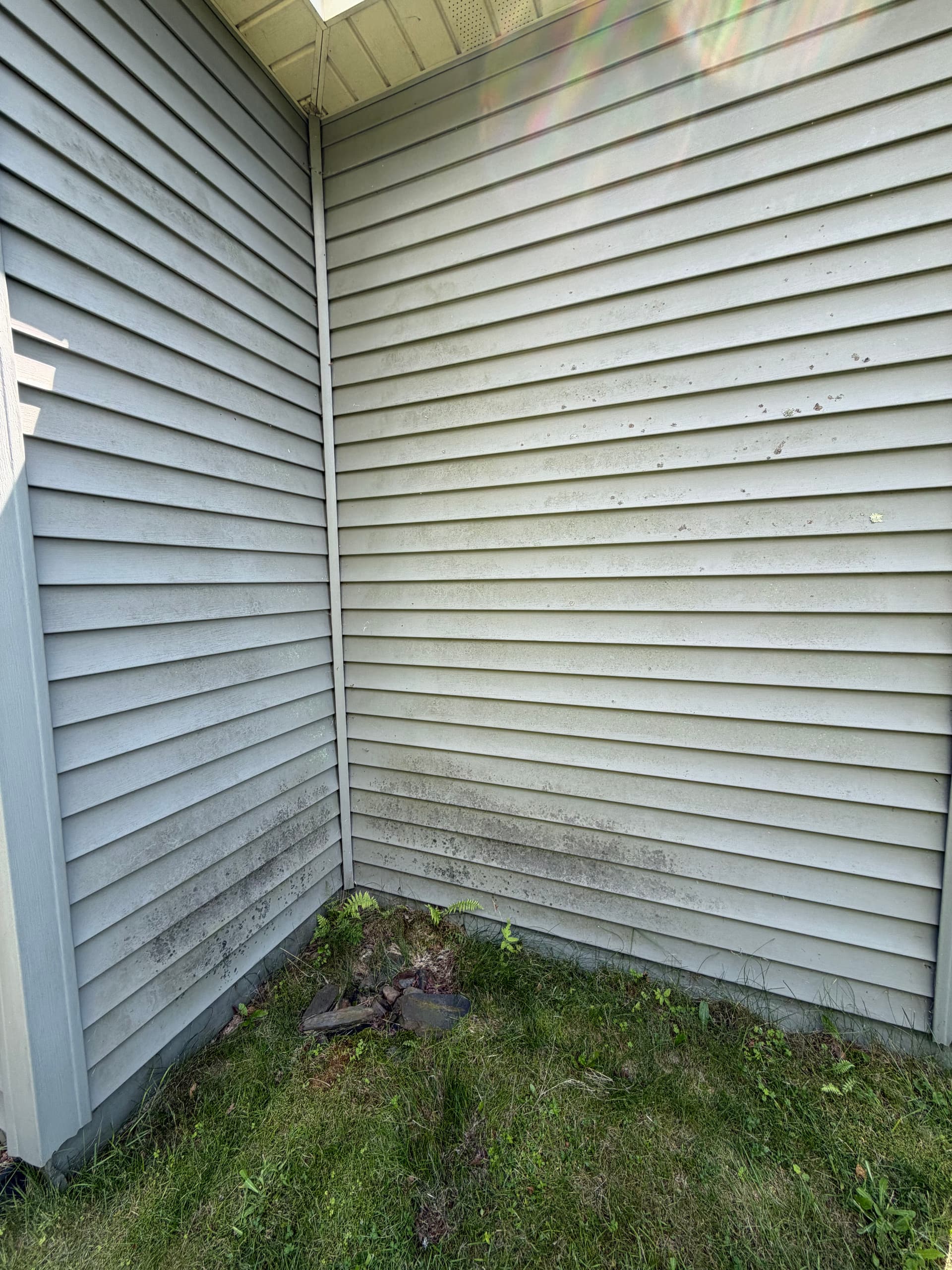 Gallery photos for Lichen and Grime Gone on This Berlin VT House Wash: Image #4