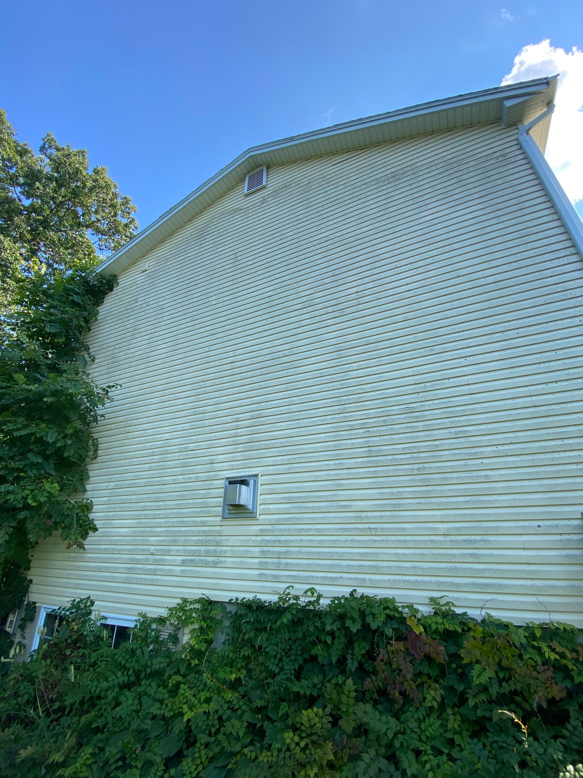 Gallery photos for Siding Soft Washing in Vermont: Image #8