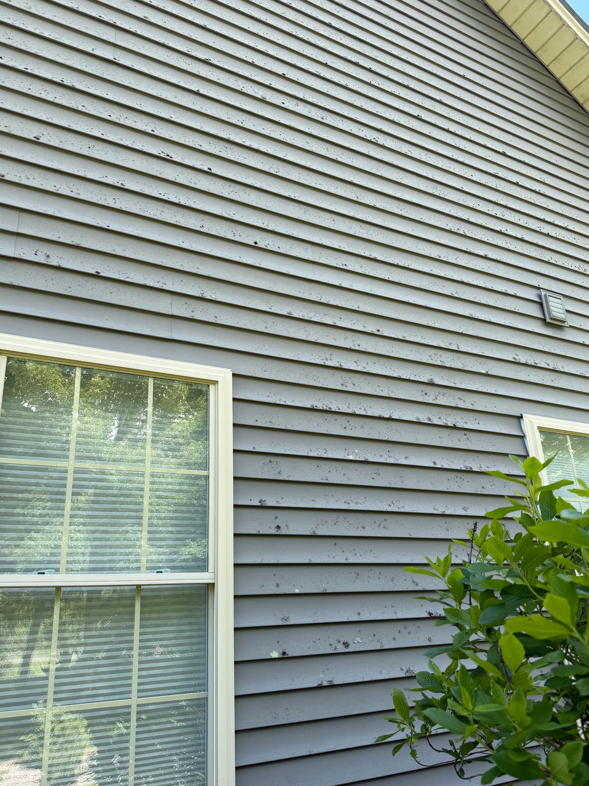 Lichen and Grime Gone on This Berlin VT House Wash image