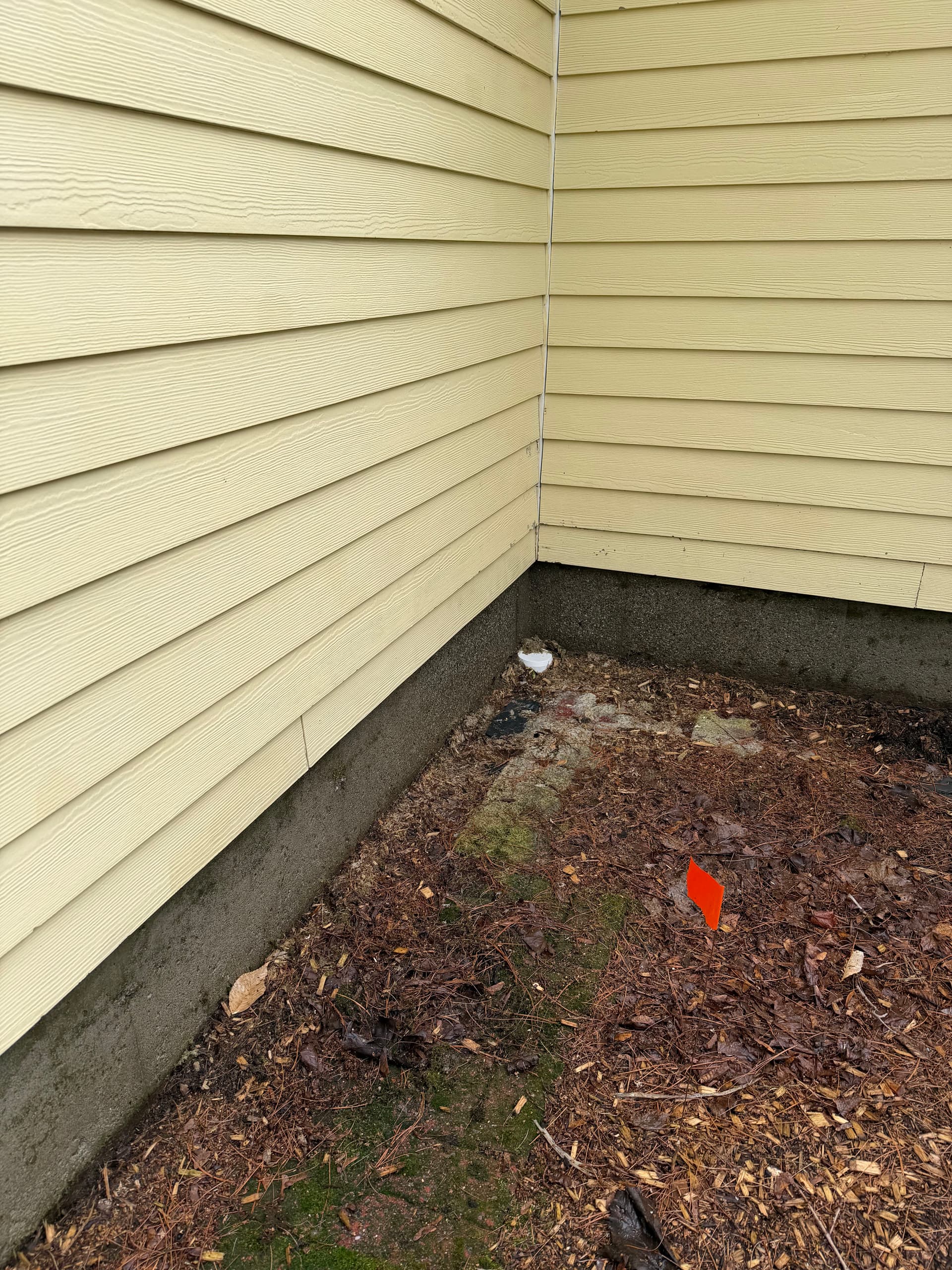 Gallery photos for Heavy Organic Growth Removed From Montpelier VT Home: Image #9