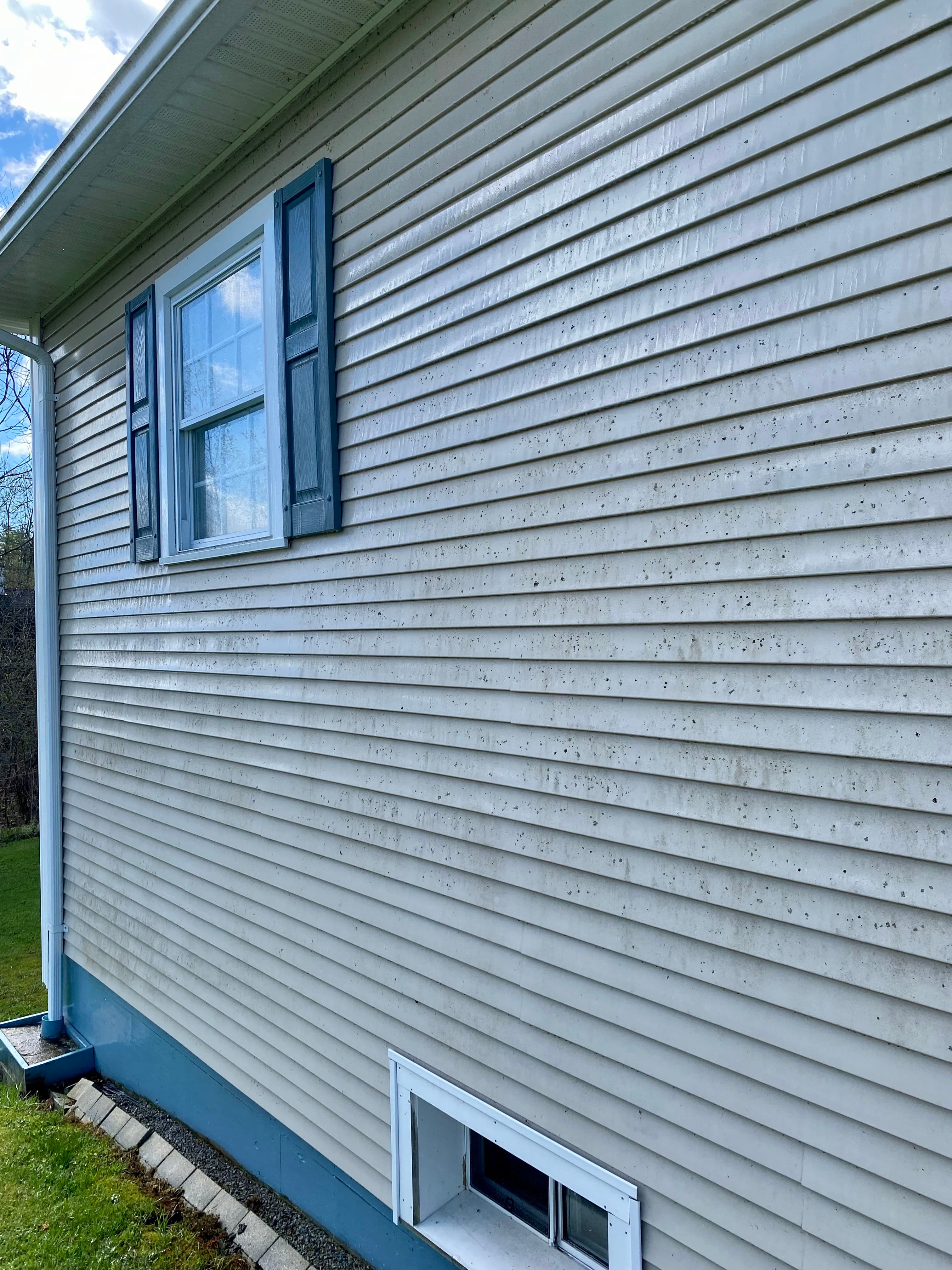 Project Vinyl Siding Soft Wash Clears Lichen and Mildew in Barre Town image