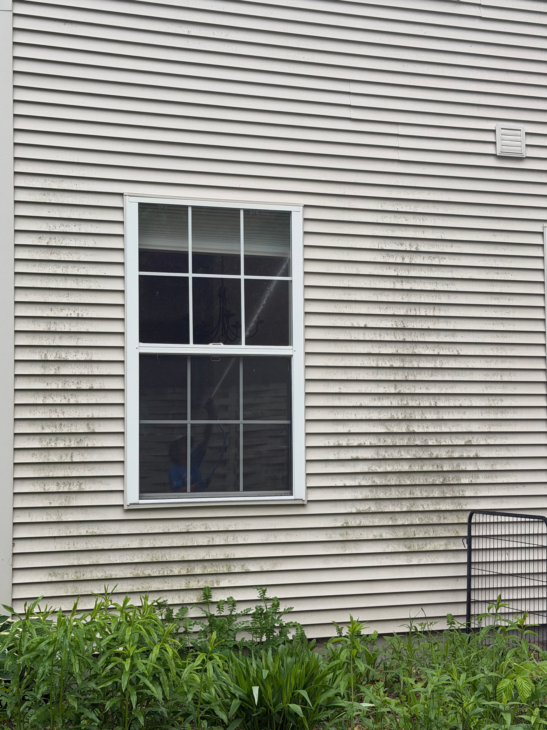 Gallery photos for Condo Siding Soft Wash Clears Green Buildup in Colchester: Image #2