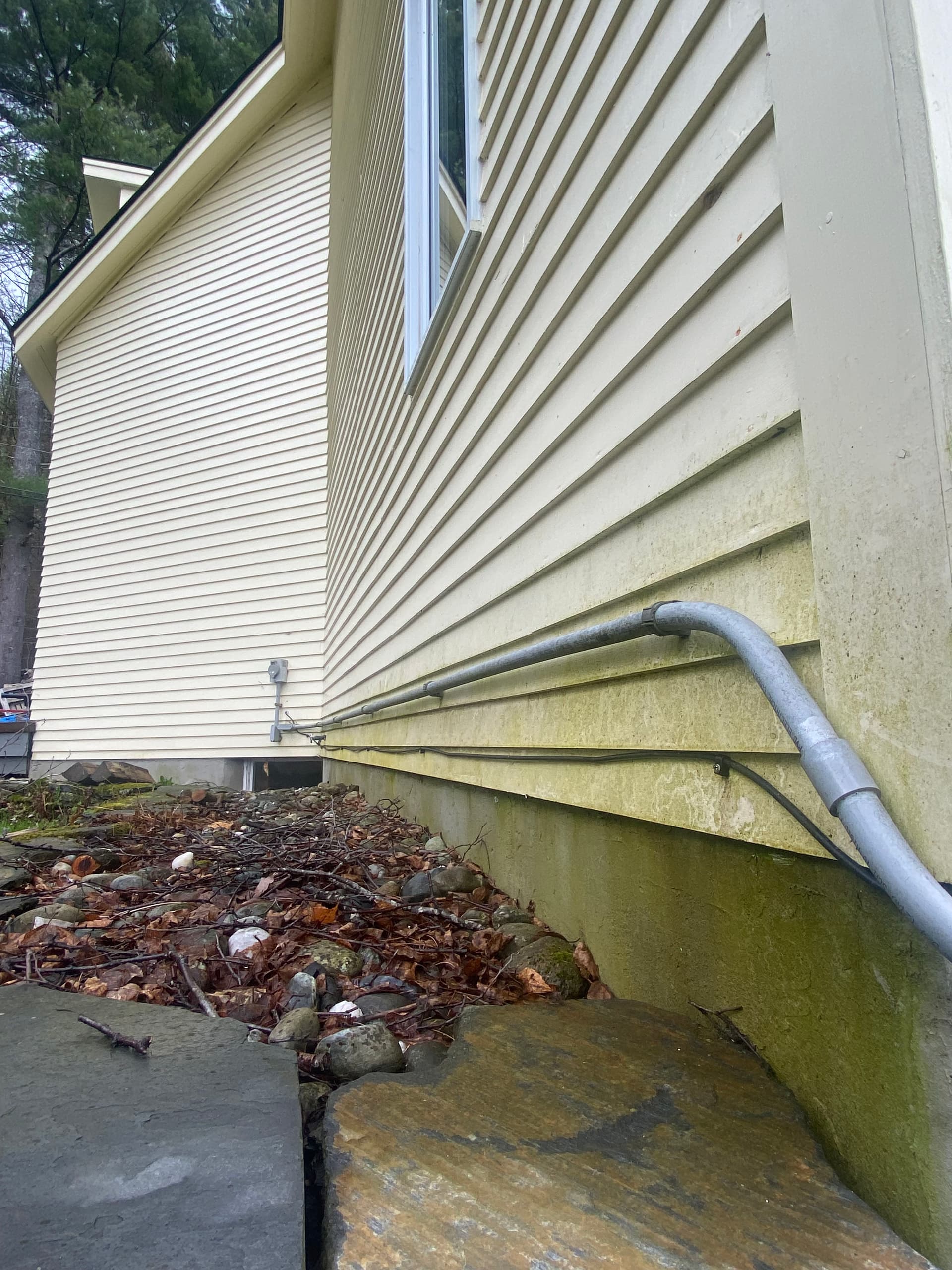 Gallery photos for Siding Soft Wash Clears Heavy Green Buildup in Middlesex VT: Image #2