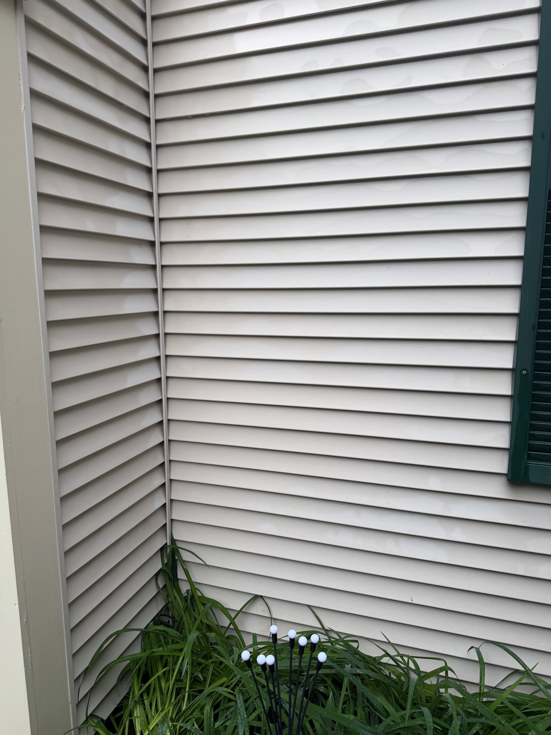 Gallery photos for Condo Siding Soft Wash Clears Green Buildup in Colchester: Image #5