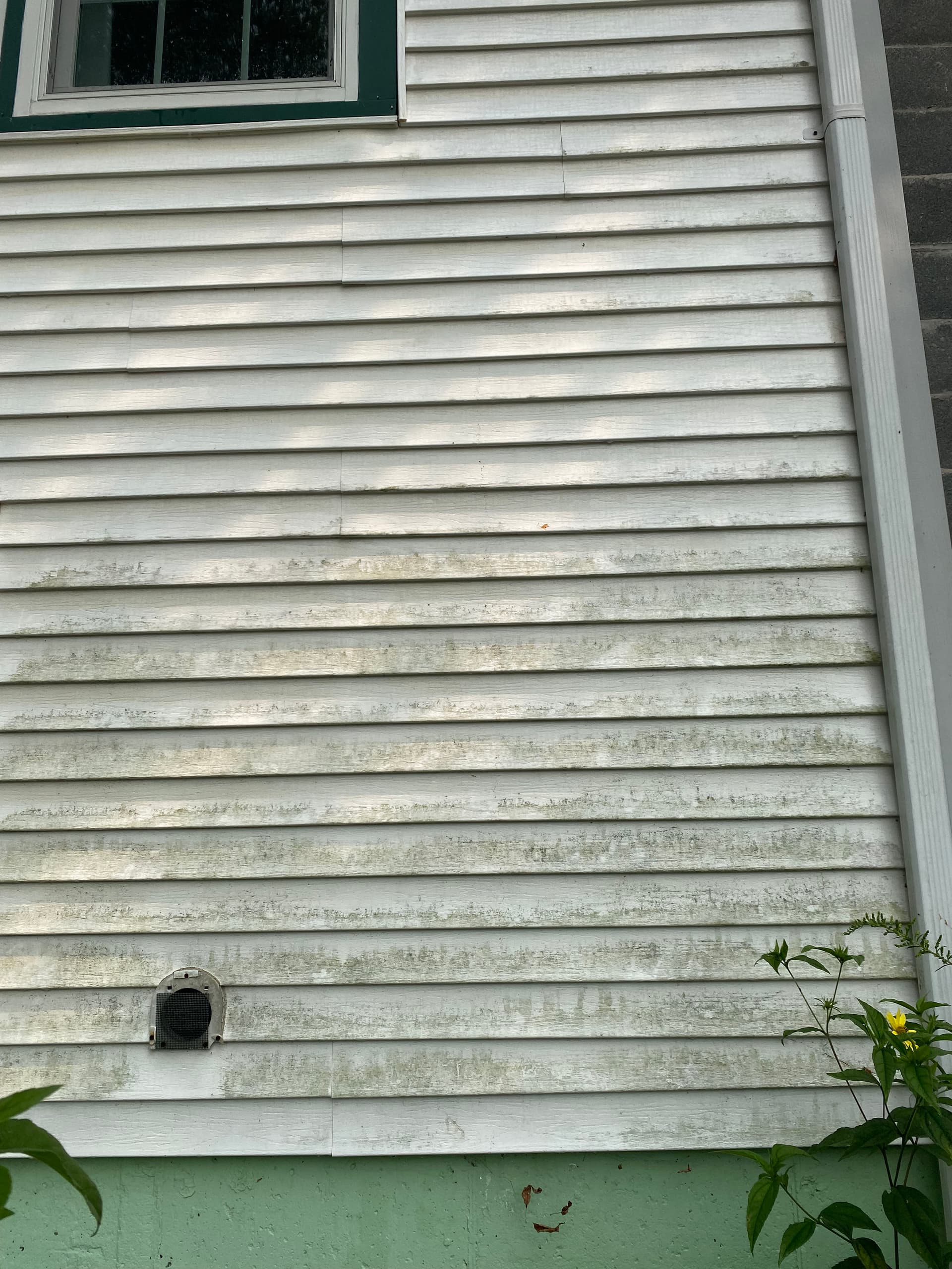 Siding Soft Washing in Vermont image