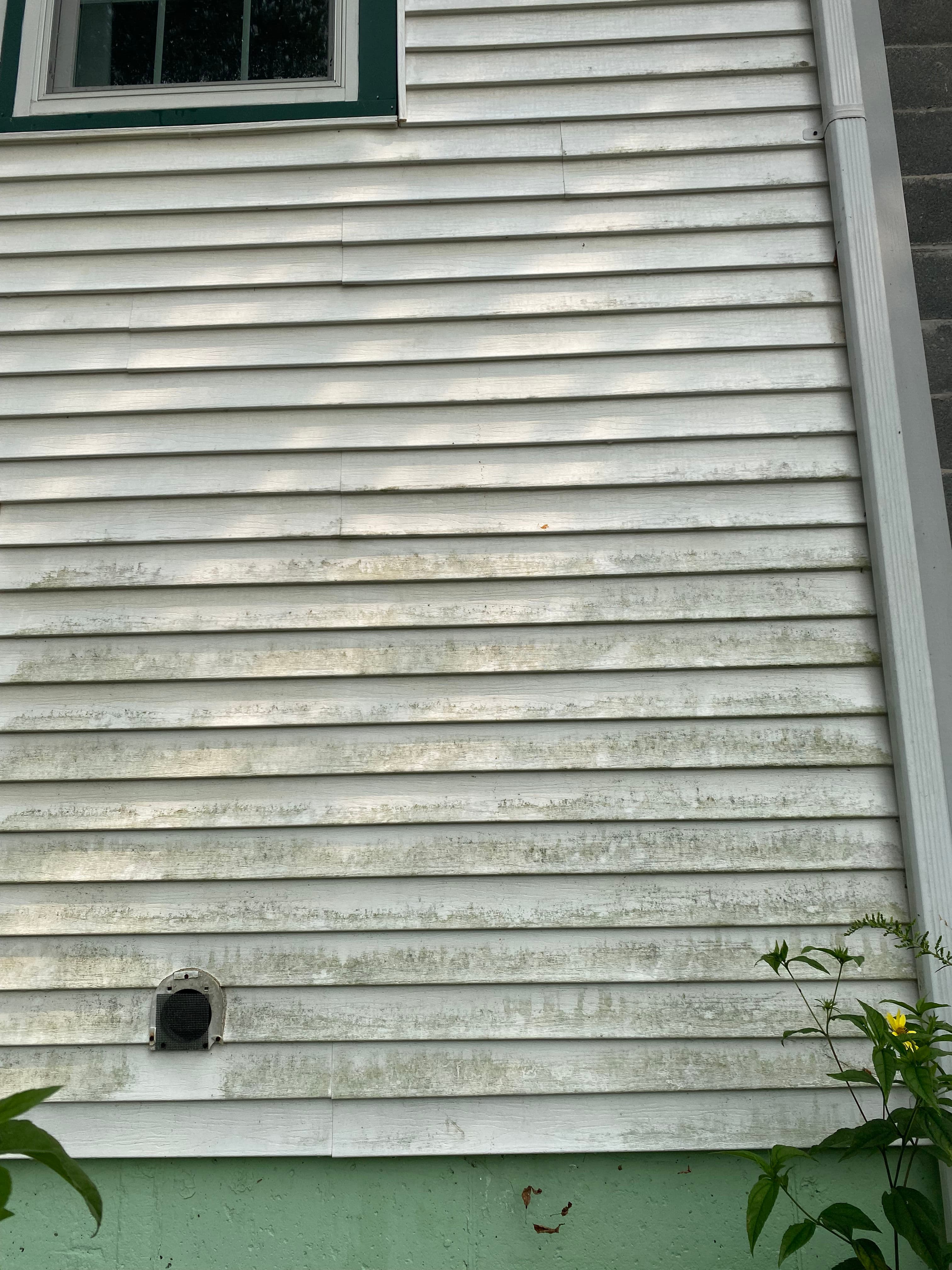 Project Siding Soft Washing in Vermont image