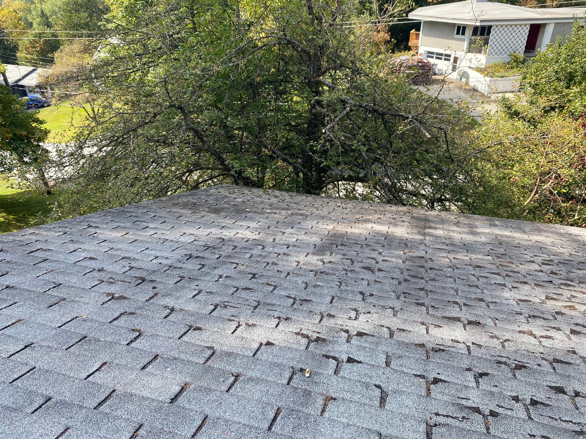 Gallery photos for Roof Rescue with Grime Busters Vermont: Image #3