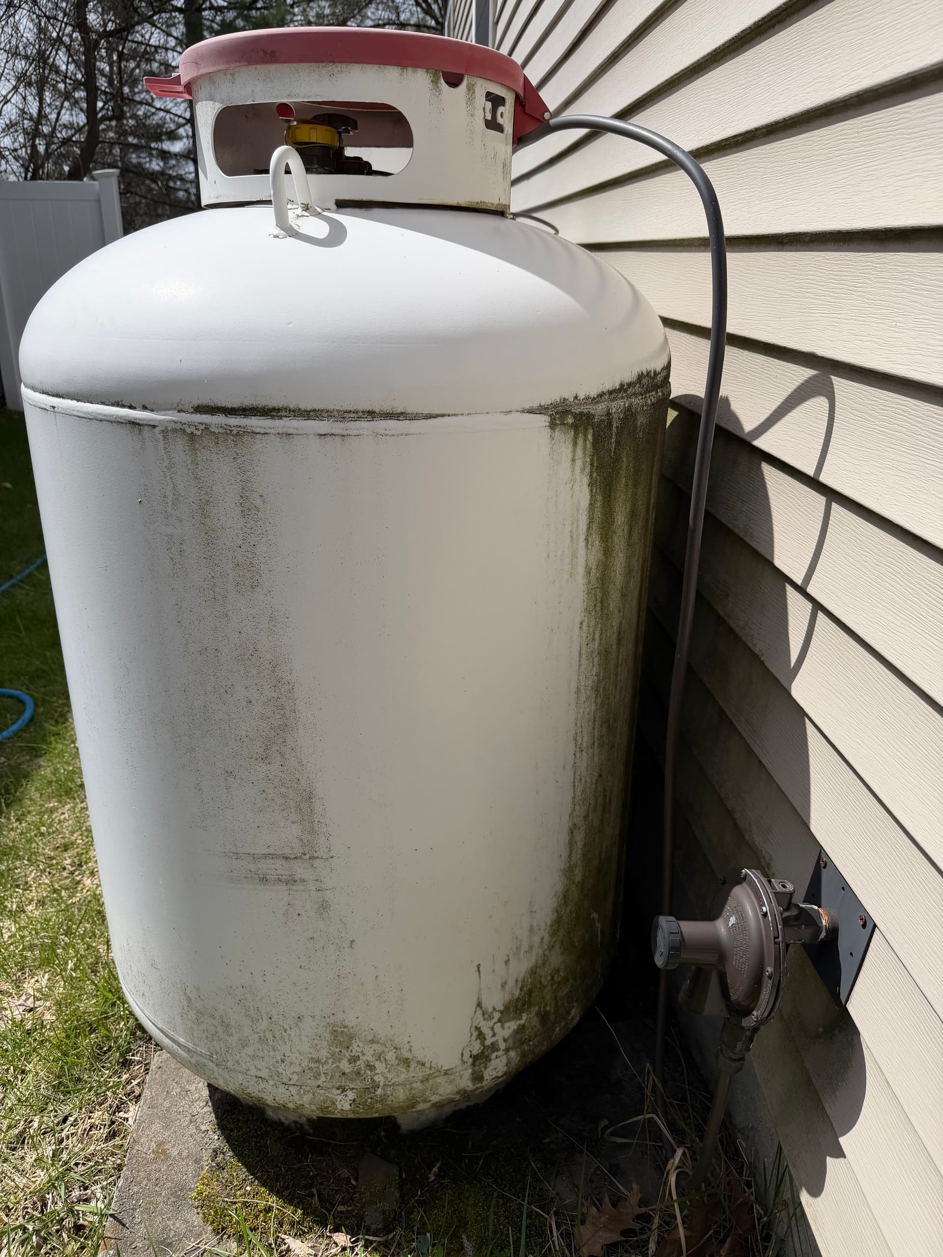 Full Exterior Care - Siding Washed, Gutters Cleared, Siding Repaired image