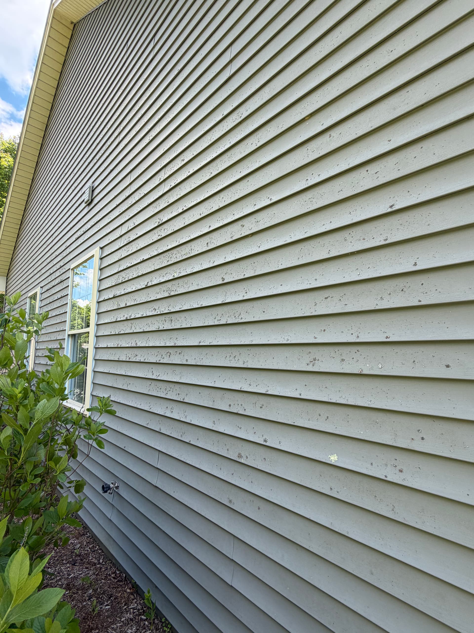Gallery photos for Lichen and Grime Gone on This Berlin VT House Wash: Image #2