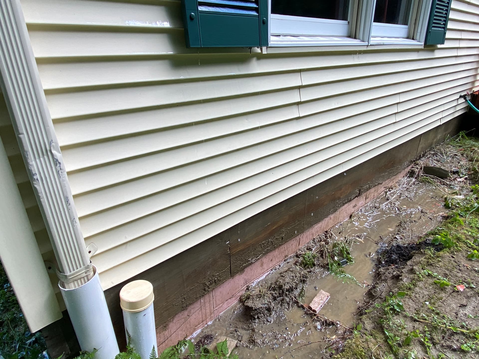 Gallery photos for Home Shine with Expert Soft and Pressure Washing: Image #1