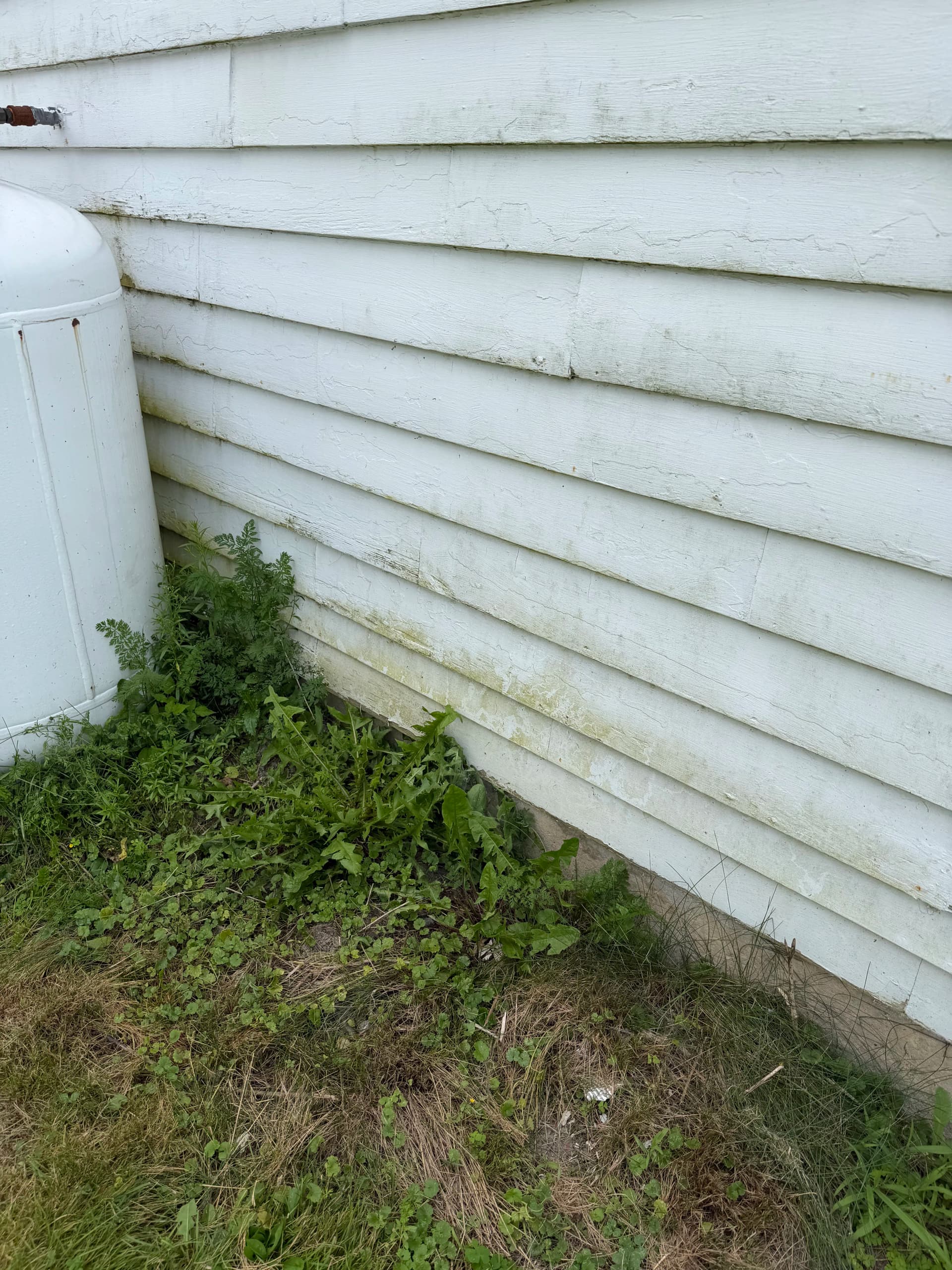 Gallery photos for Siding Soft Wash on a Montpelier VT Home: Image #1