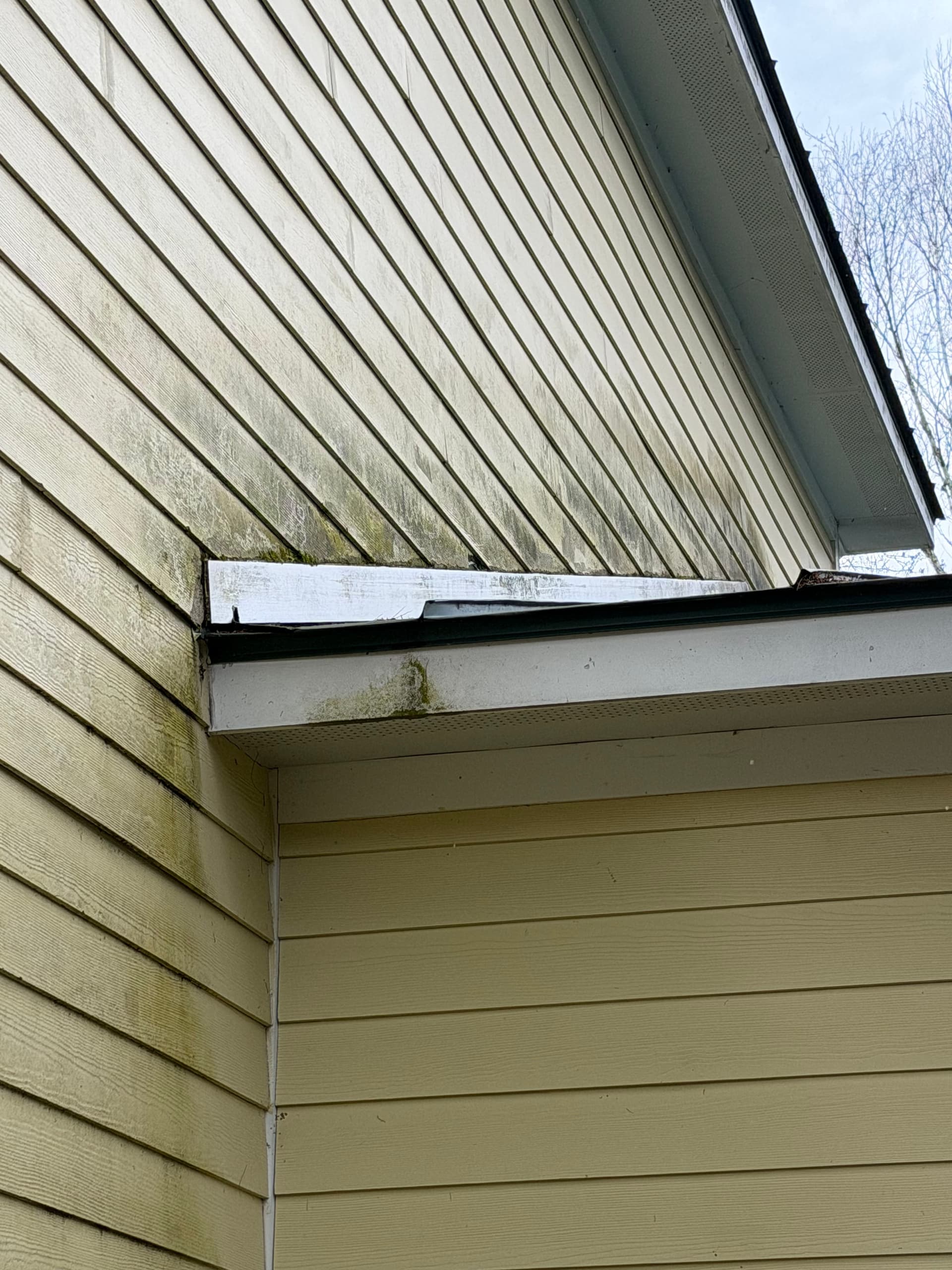 Gallery photos for Heavy Organic Growth Removed From Montpelier VT Home: Image #4
