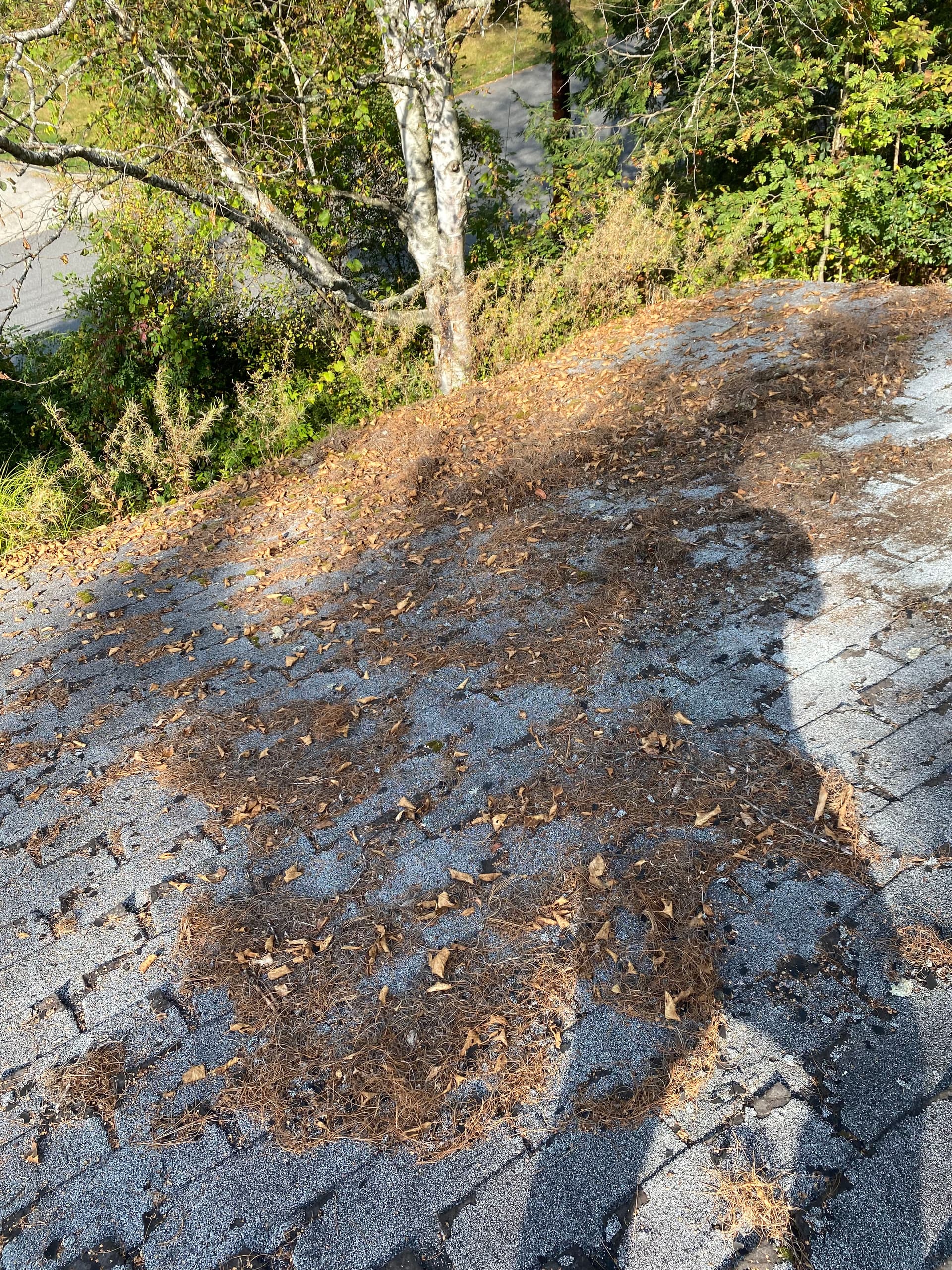 Gallery photos for Roof Rescue with Grime Busters Vermont: Image #5