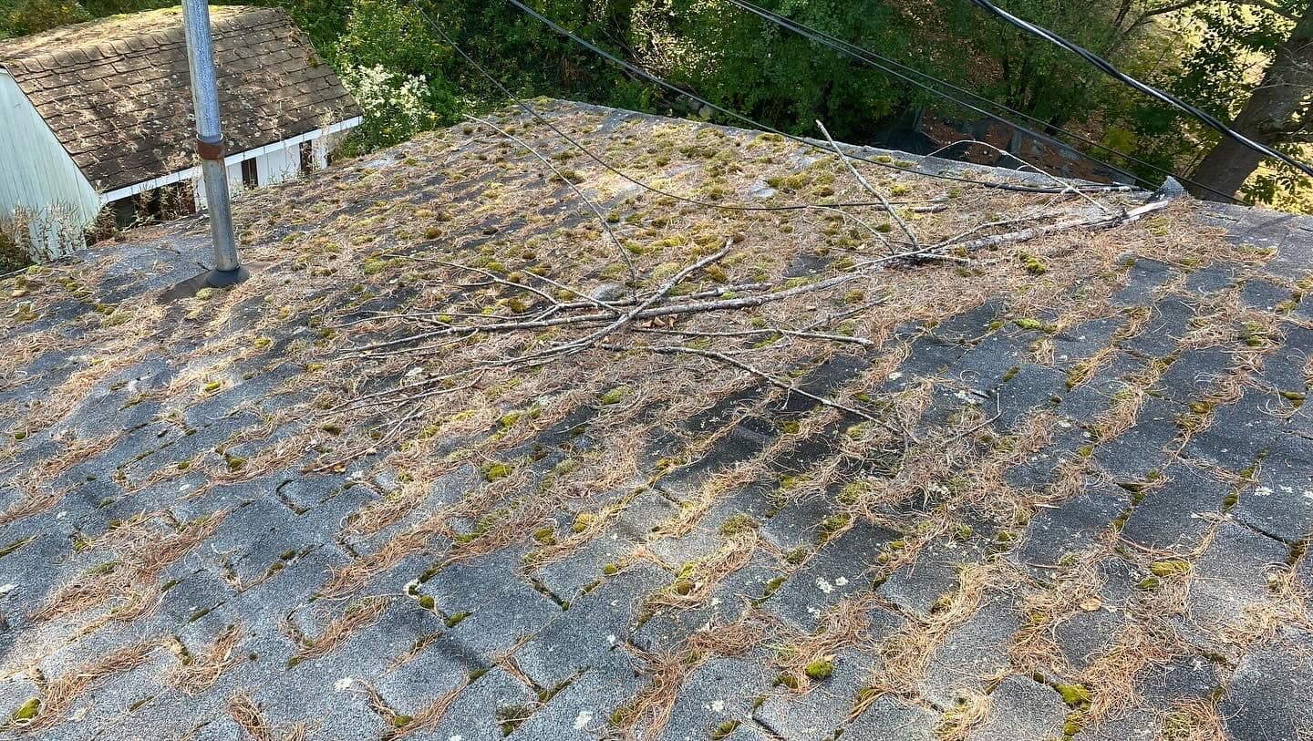 Gallery photos for Roof Rescue with Grime Busters Vermont: Image #1