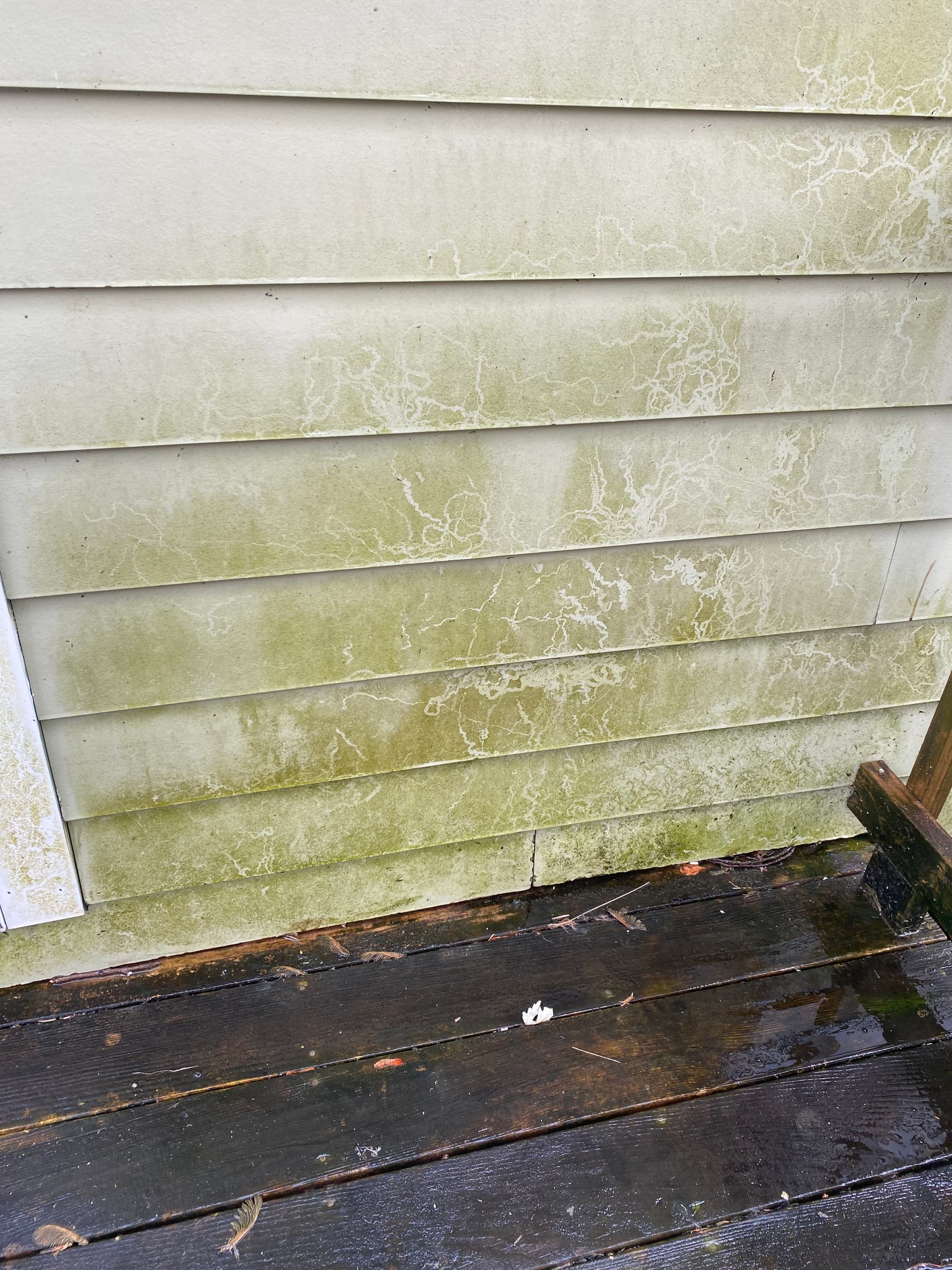 Gallery photos for Deck and Siding Cleaning Project in Burlington VT: Image #3