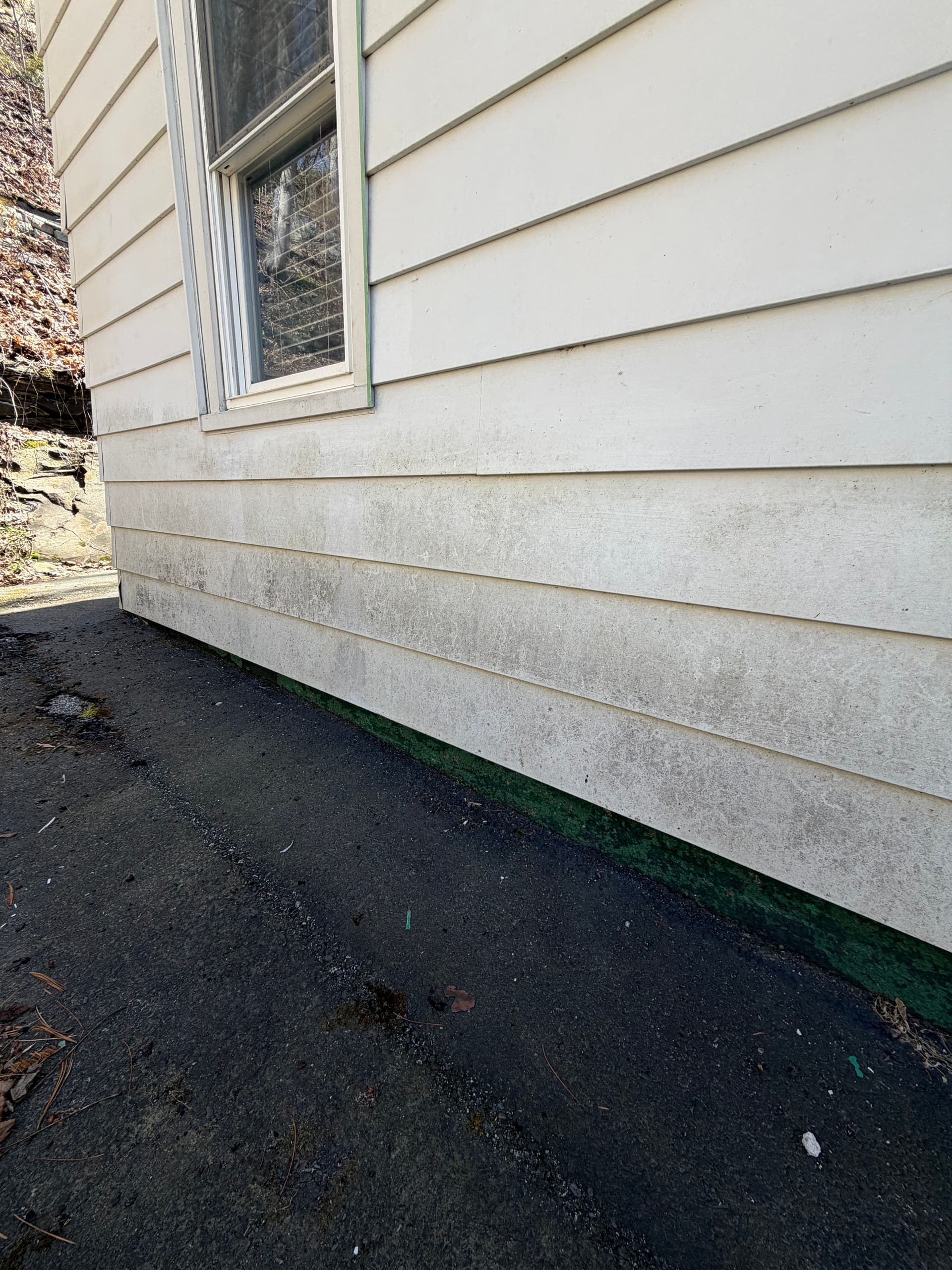 Gallery photos for Full Exterior Care - Siding Washed, Gutters Cleared, Siding Repaired: Image #2