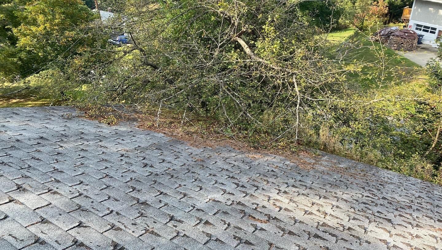 Roof Rescue with Grime Busters Vermont image