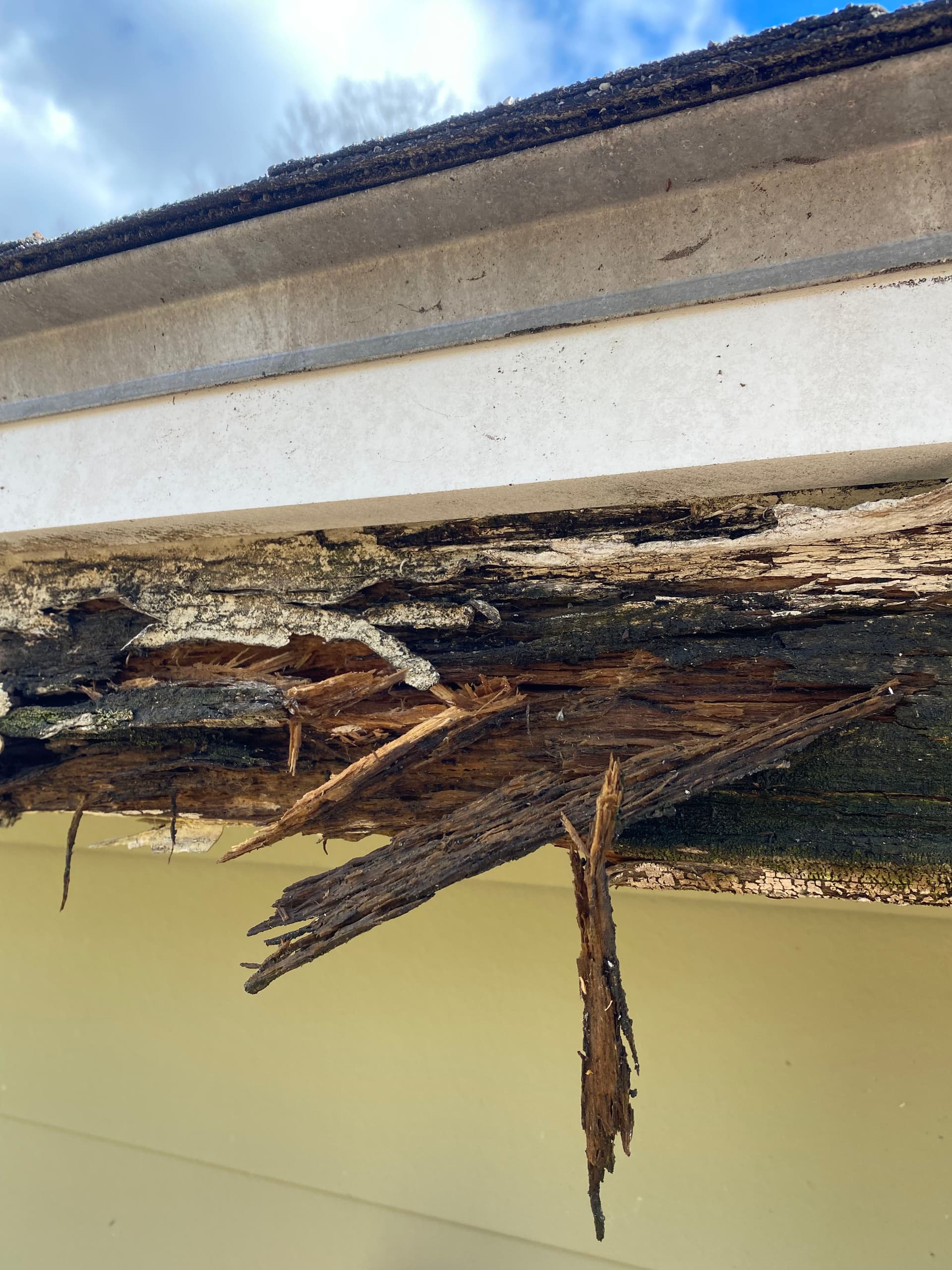 Crucial Gutter Cleaning Alert in Vermont