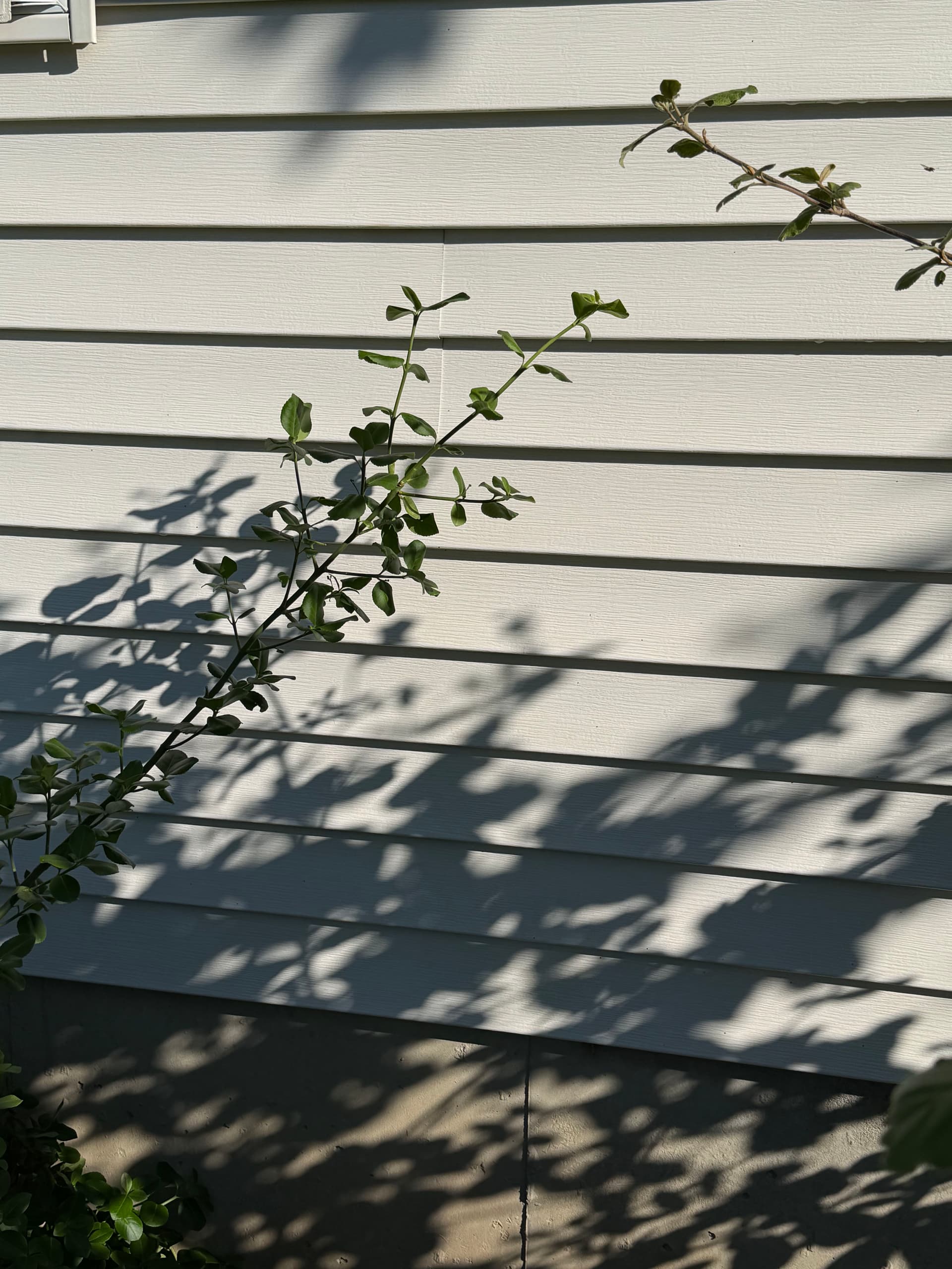 Gallery photos for Siding Soft Wash, Gutter Cleaning and Driveway Sealcoating in Milton VT: Image #7