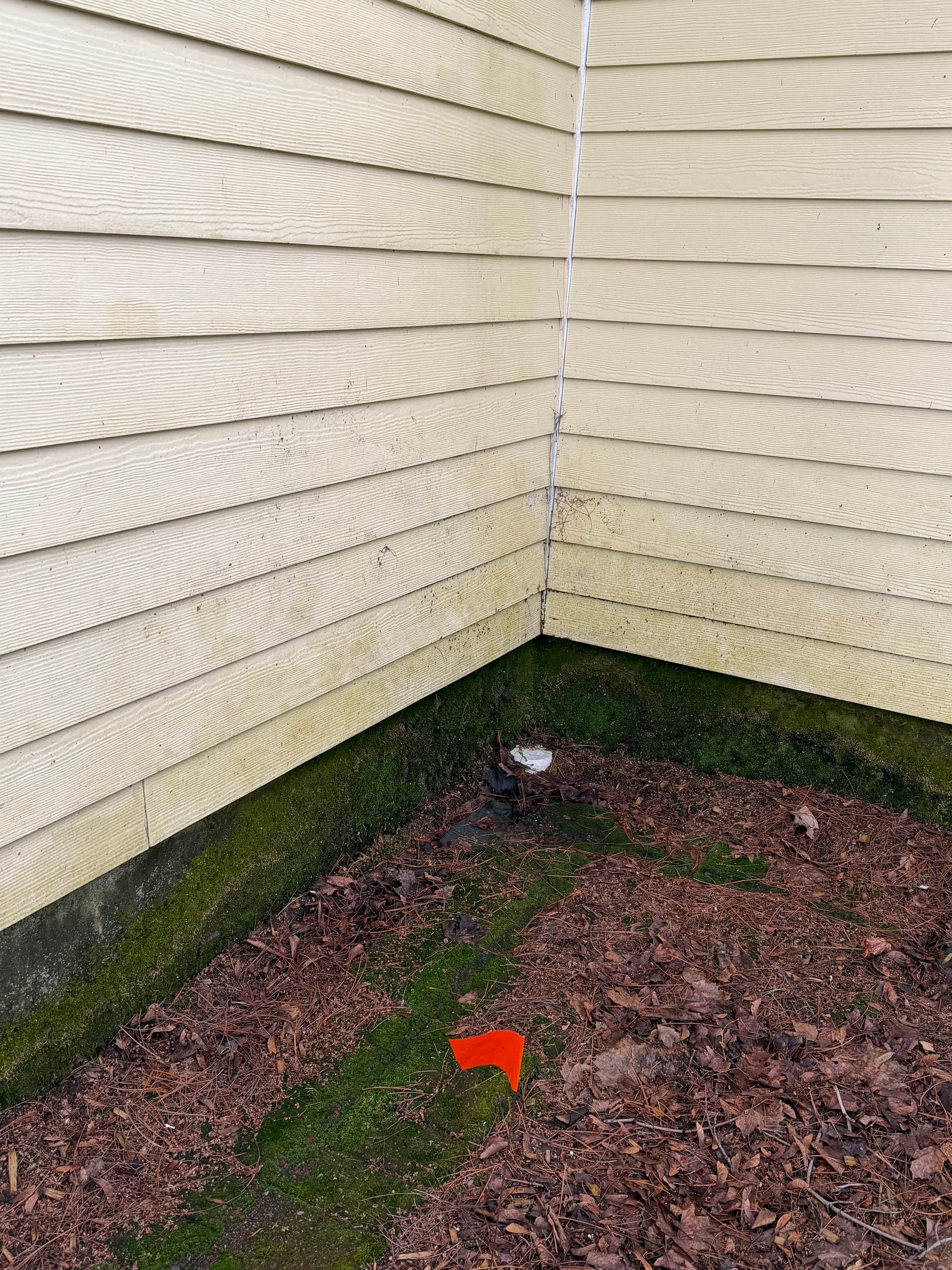 Gallery photos for Heavy Organic Growth Removed From Montpelier VT Home: Image #8