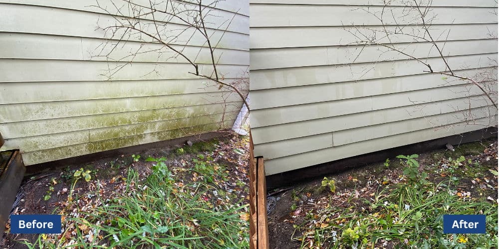 Before and after home exterior cleaning showing significant mold removal on siding.