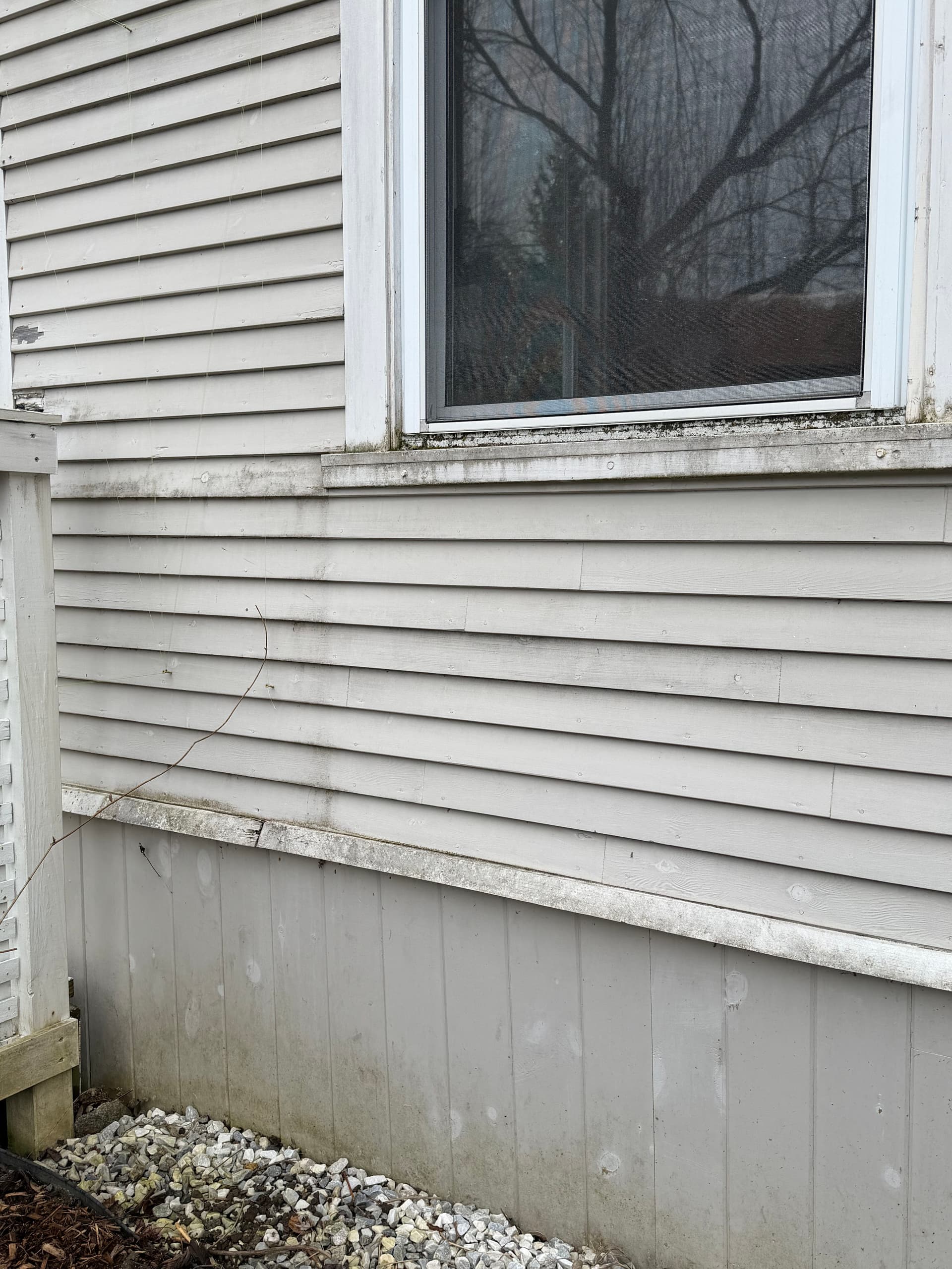 Gallery photos for First House Washes of the Season Are Done in Montpelier: Image #4