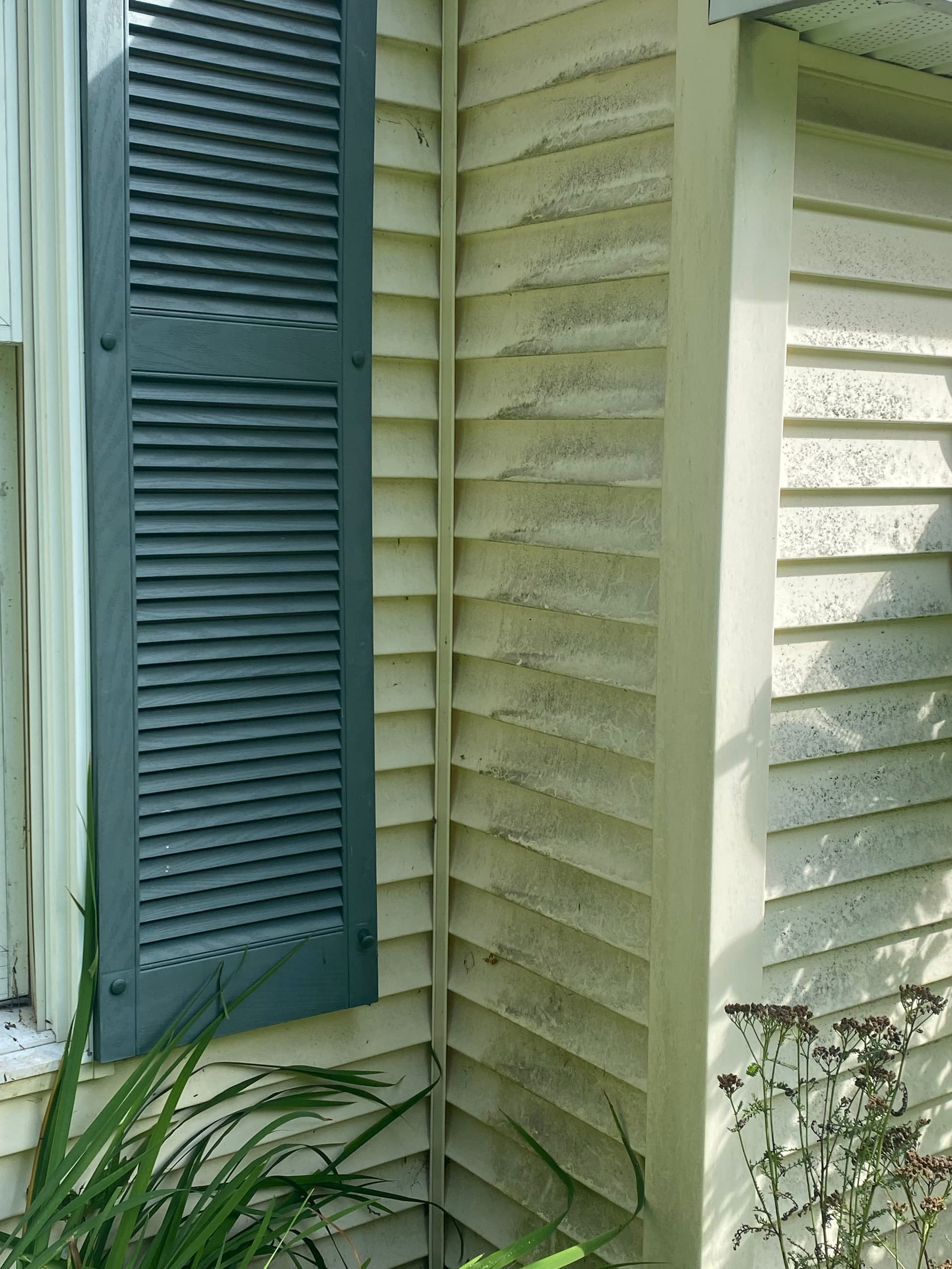 Gallery photos for Sparkling Soft Wash Reveal in Calais and Montpelier: Image #4