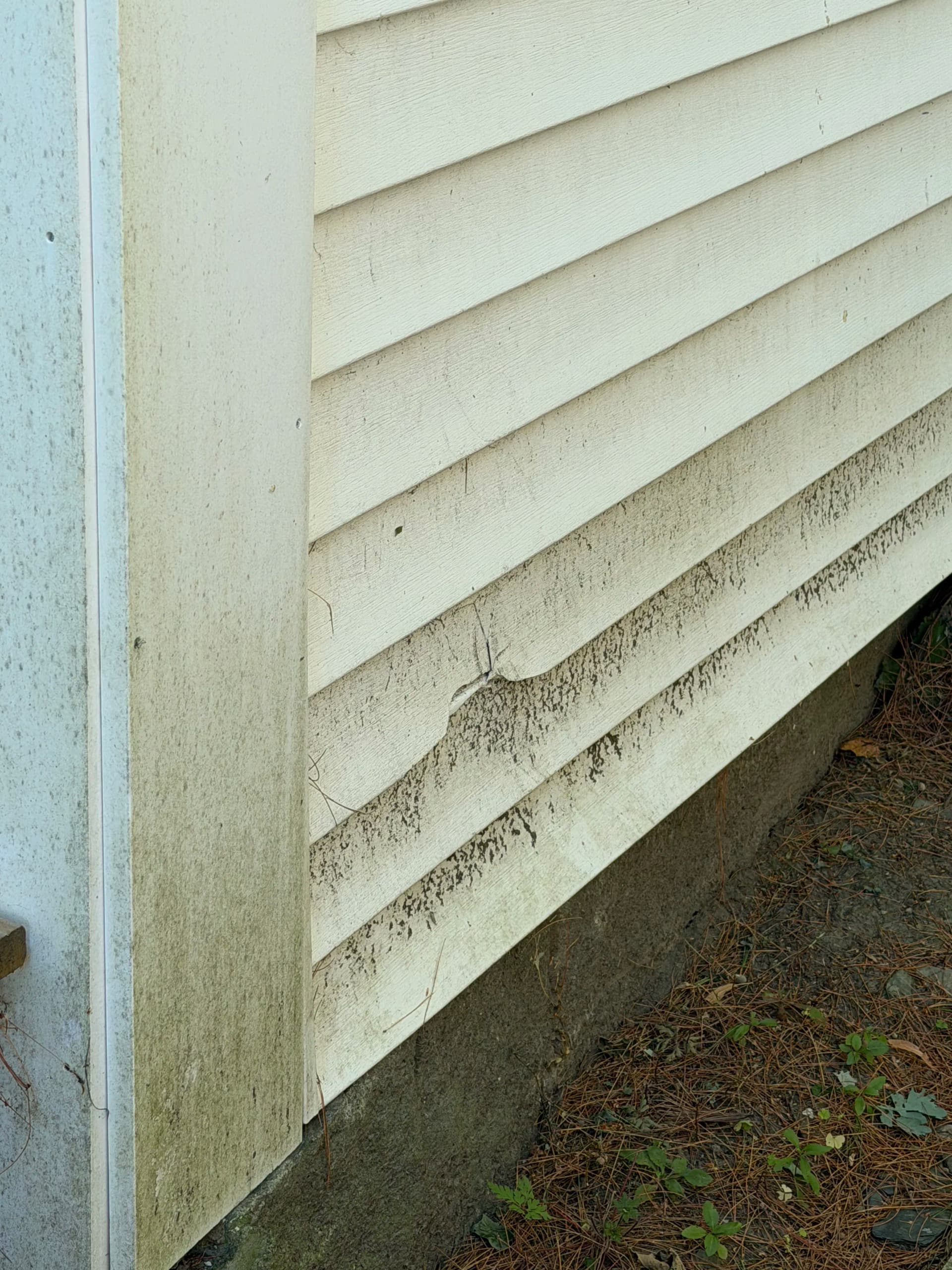 Gallery photos for Vinyl Siding Soft Wash Clears Green Grime in Montpelier: Image #6