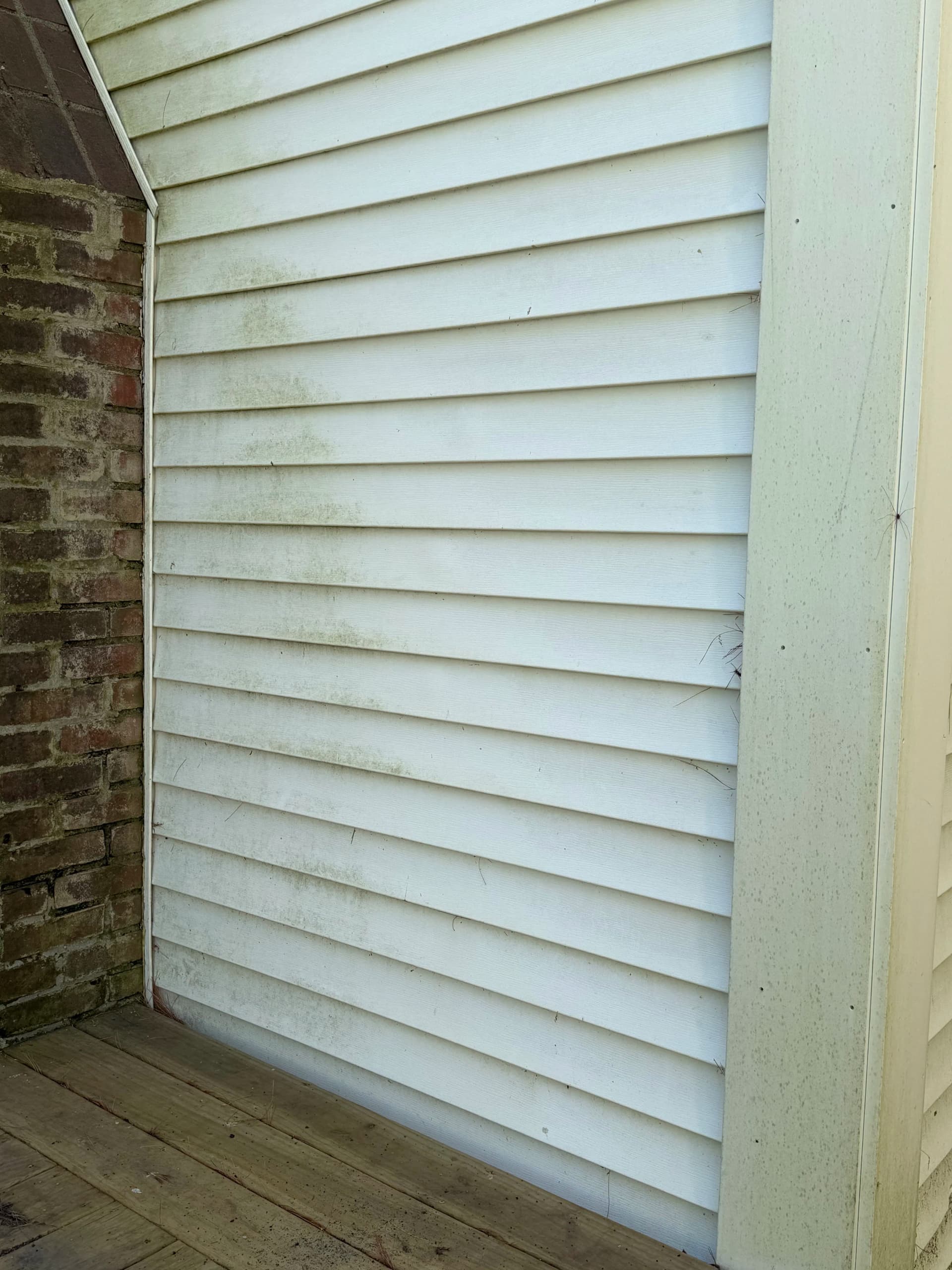Gallery photos for Vinyl Siding Soft Wash Clears Green Grime in Montpelier: Image #4