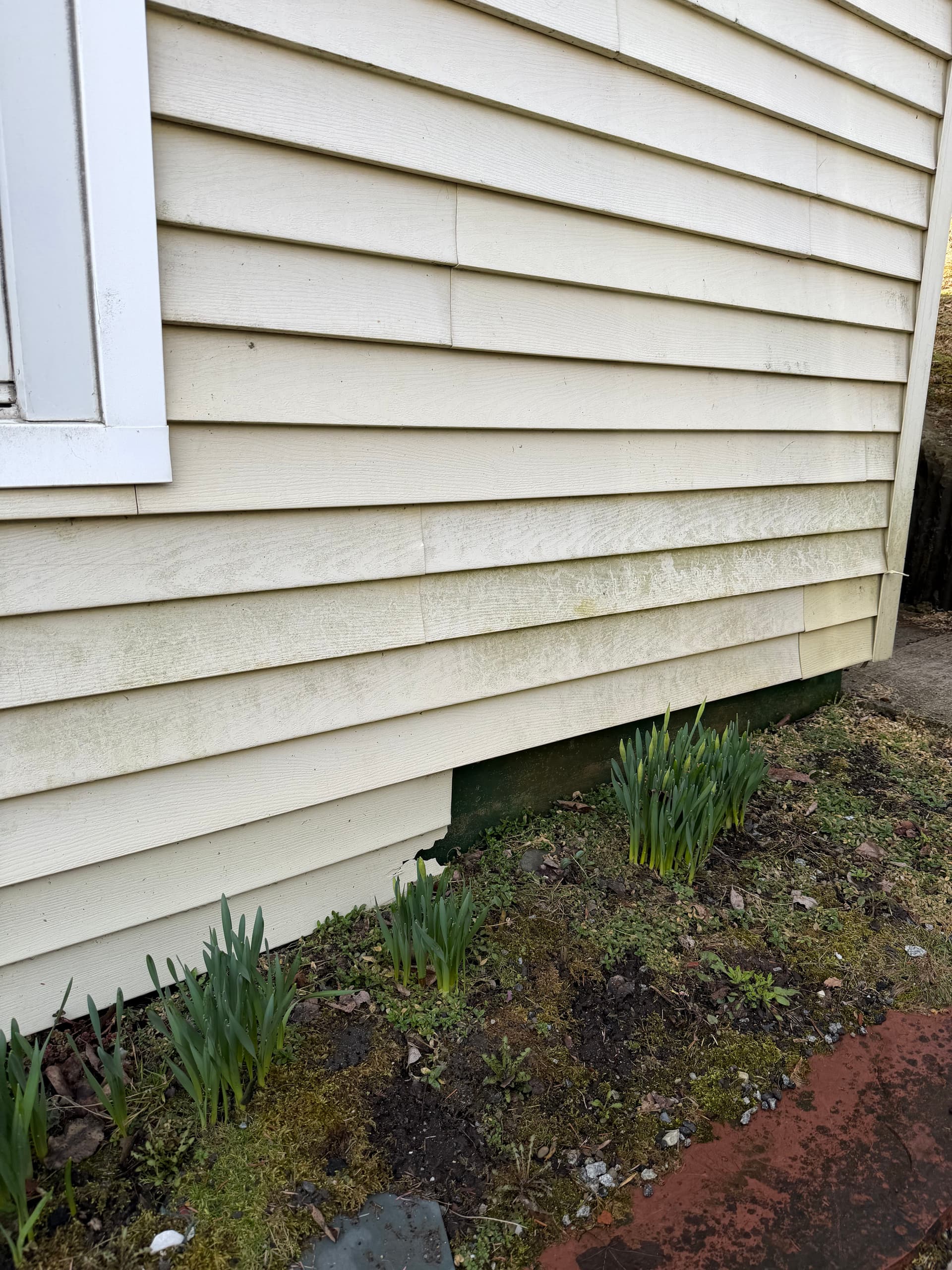 First House Washes of the Season Are Done in Montpelier image