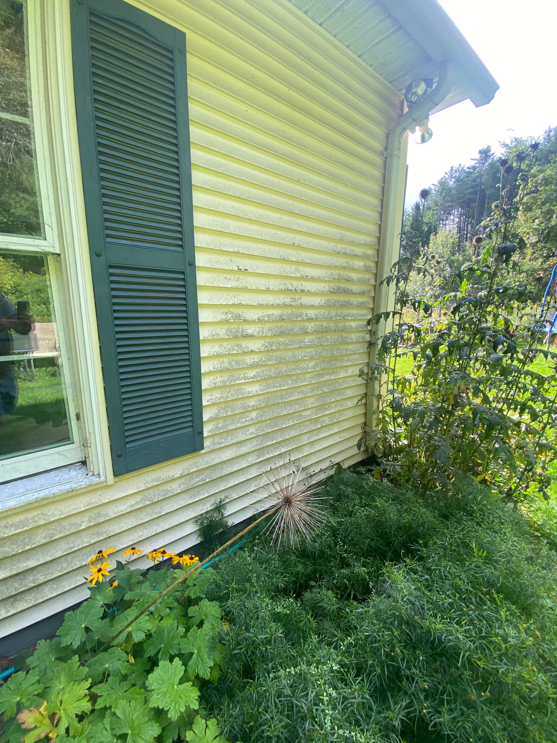 Gallery photos for Sparkling Soft Wash Reveal in Calais and Montpelier: Image #8